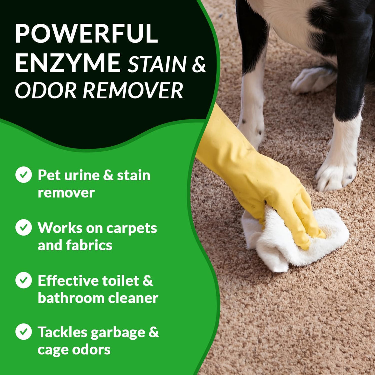 Strong Stain & Odor Eliminator - Cats & Dog Enzymatic Urine Destroyer -MADE IN USA- Fresh Scent