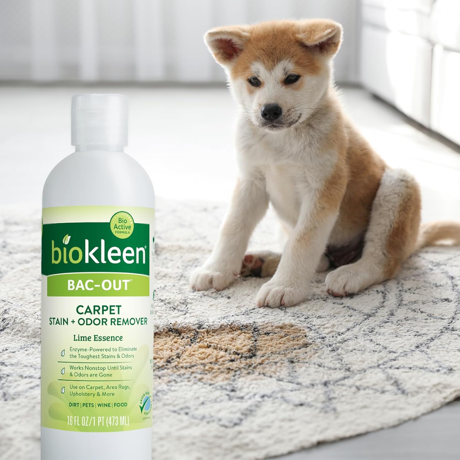 Biokleen Bac-Out Enzymatic Stain & Odor Remover for Carpet - Removes Stains and odors caused by