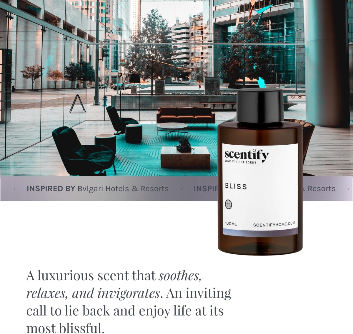 Scentify Bliss Aroma Oil Refill Scent for Oil Diffusers - Eucalyptus, Bergamot, Tea & Powdery