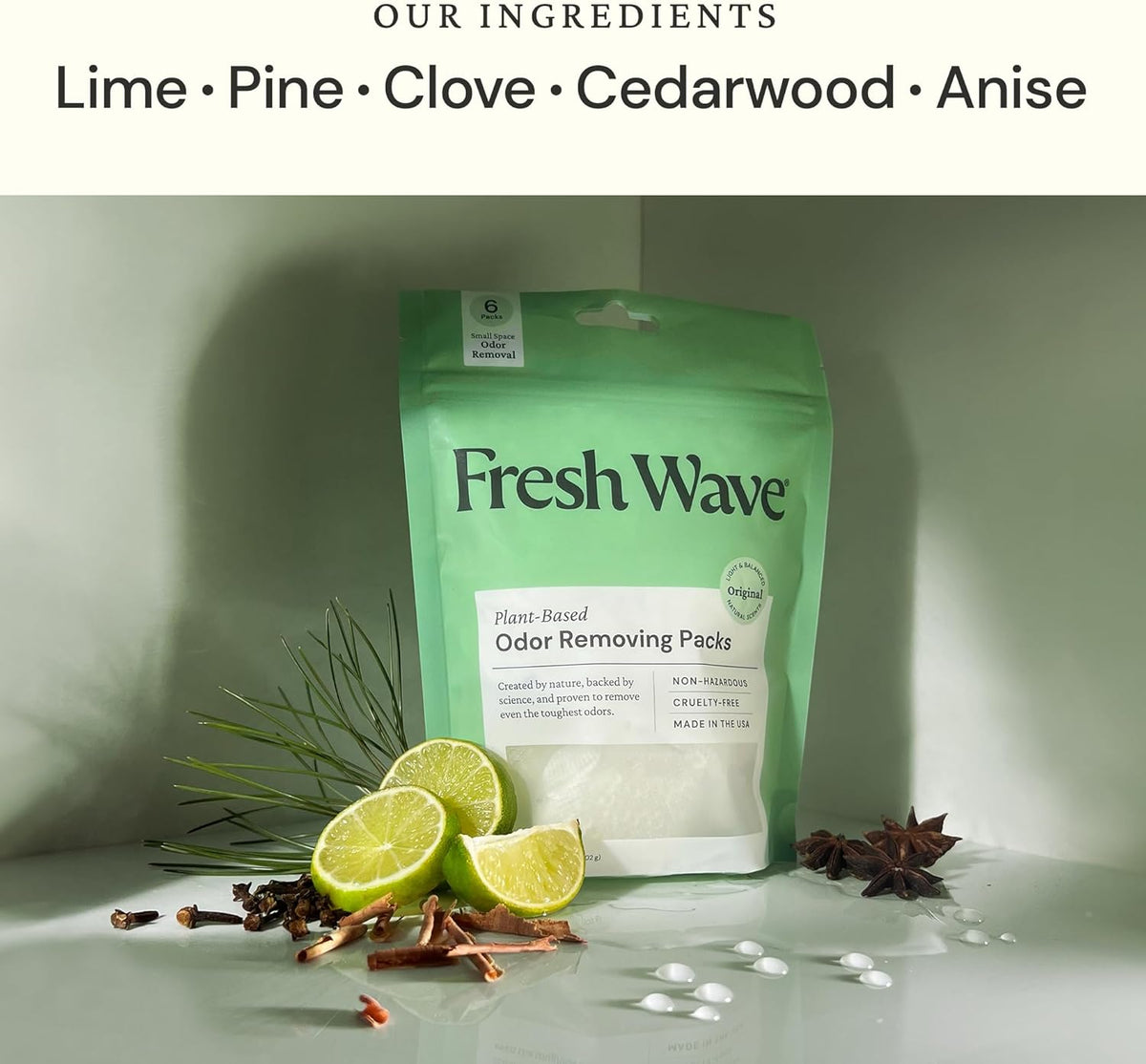 Fresh Wave Original Odor Eliminating & Deodorizing Packs - Bag of 6 & Fresh Pod Case - Safer Odor