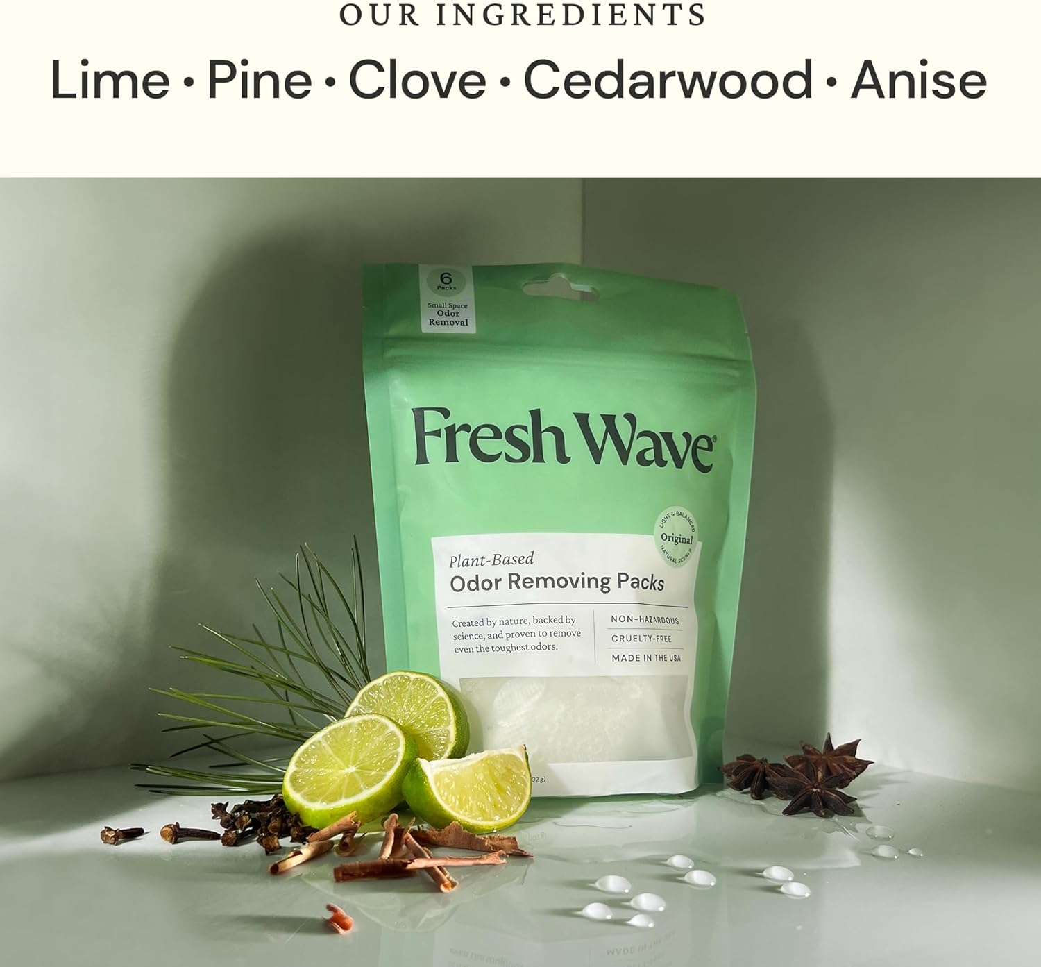 Fresh Wave Original Odor Eliminating & Deodorizing Packs - Bag of 6 & Fresh Pod Case - Safer Odor