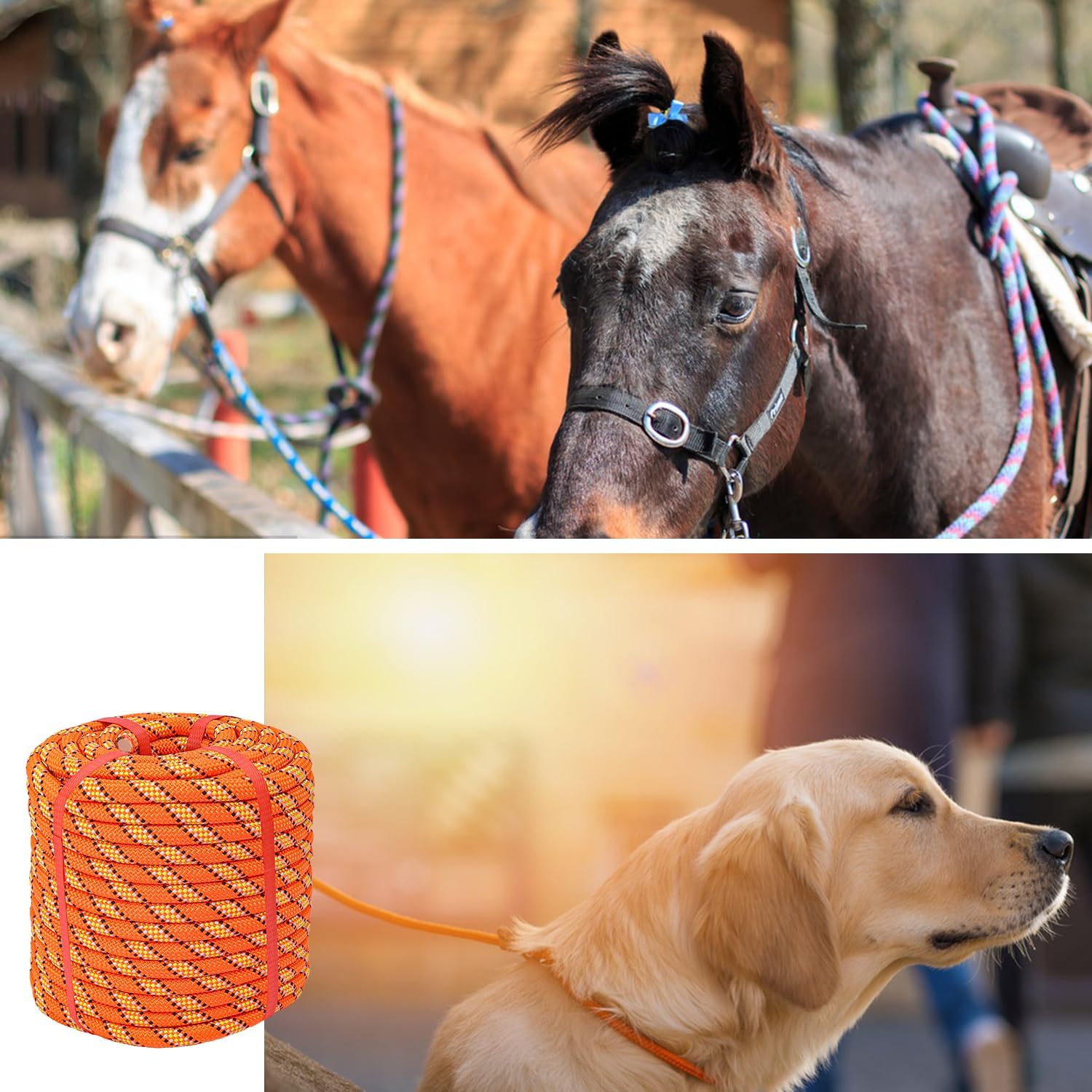 1/2 Inch 100 FT Tree Felling Rope, Professional Static Rope, Orange Versatile Arborist Logging