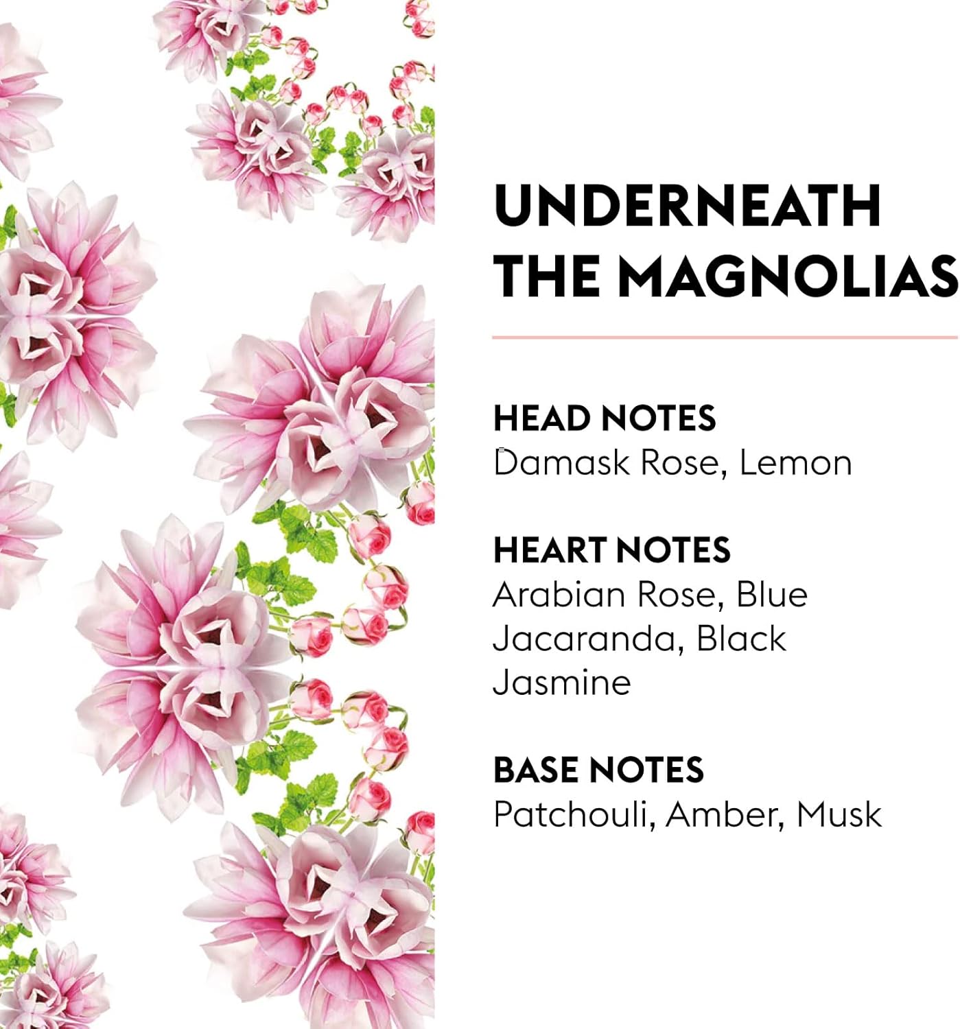 MAISON BERGER - Underneath The Magnolias - Lampe Berger Fragrance Refill for Home Fragrance Oil