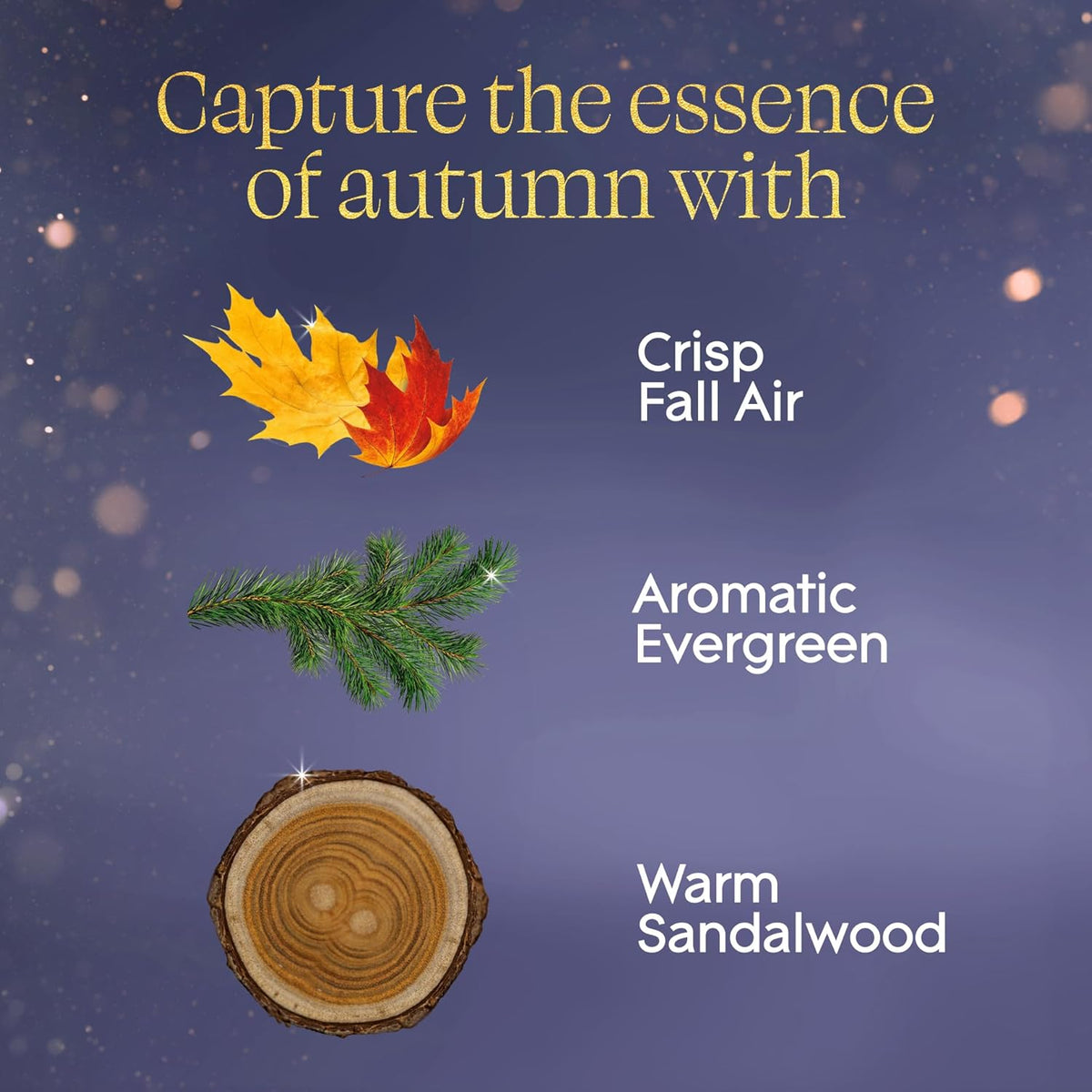 Glade PlugIns Refills Air Freshener, Embers & Sandalwood, Scented and Essential Oils for Home and