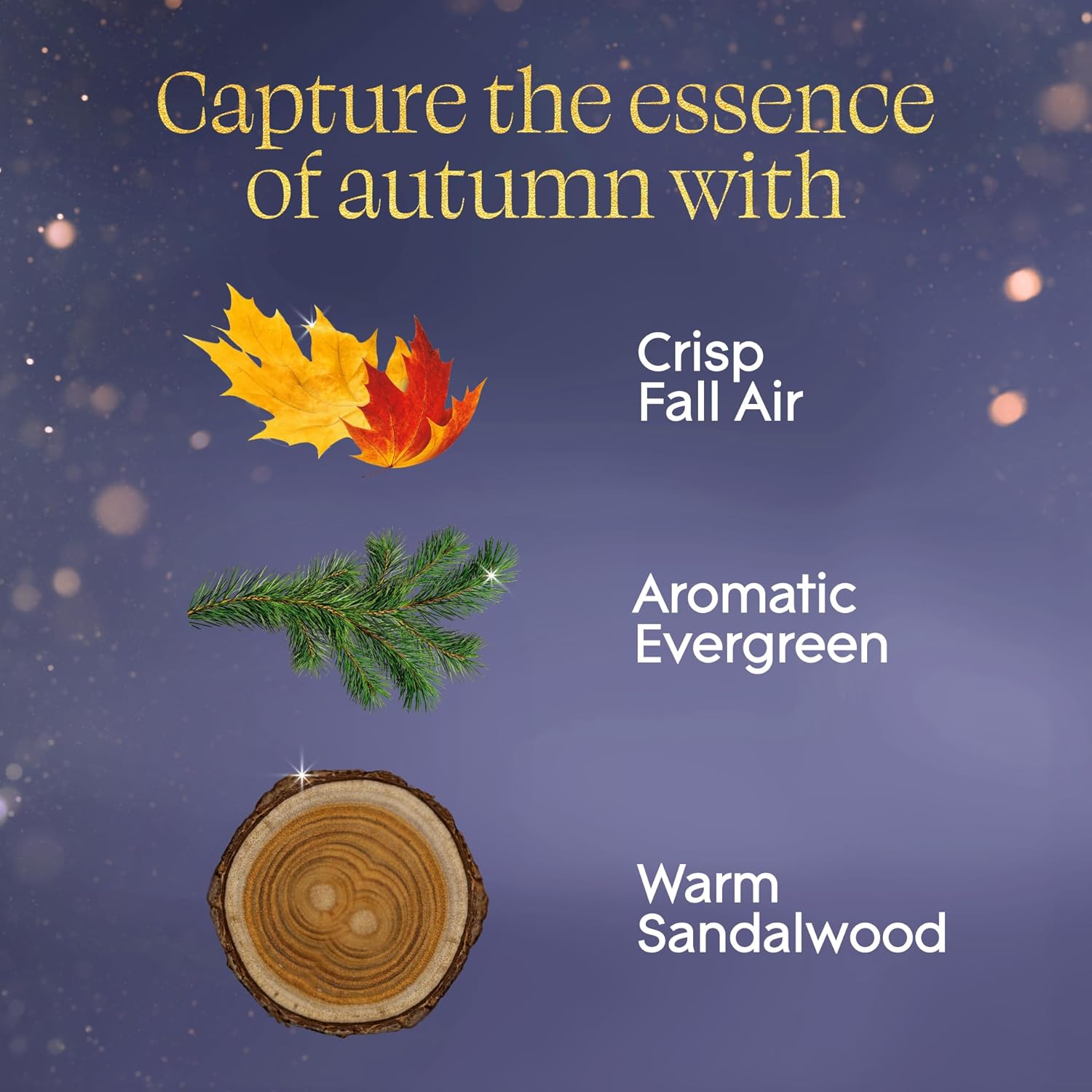 Glade PlugIns Refills Air Freshener, Embers & Sandalwood, Scented and Essential Oils for Home and