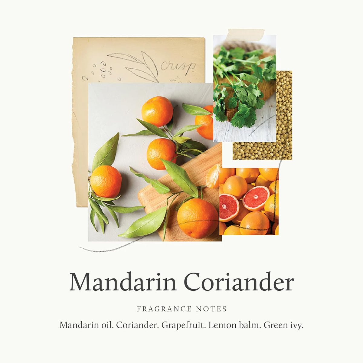 Thymes Mandarin Coriander Reed Diffuser Oil - Room Fragrance Oil - Flameless Home Fragrance7.75 Fl