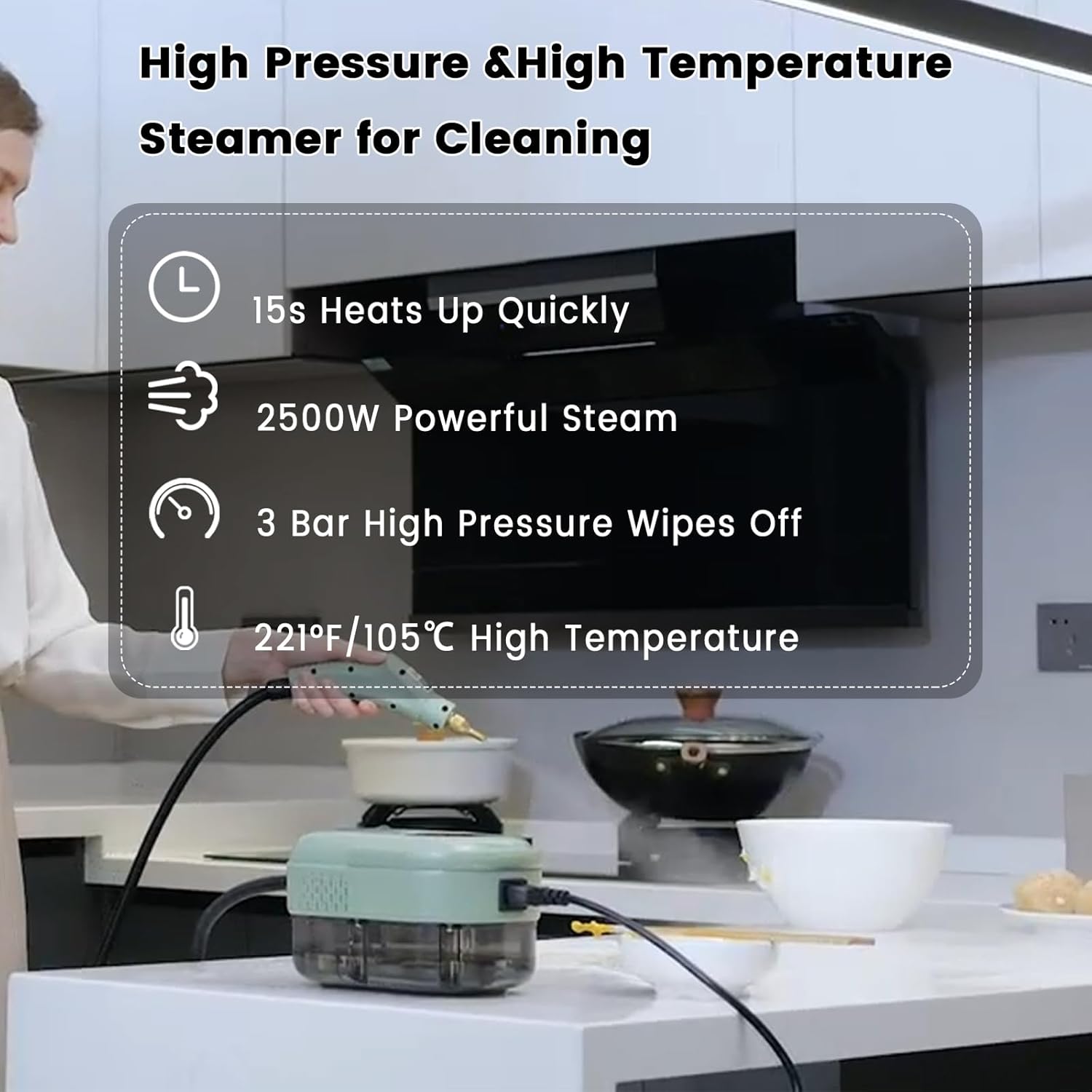 2500W Handheld Steam Cleaner,Portable Car Steamer For Auto Detailing,High-Temperature and Pressure