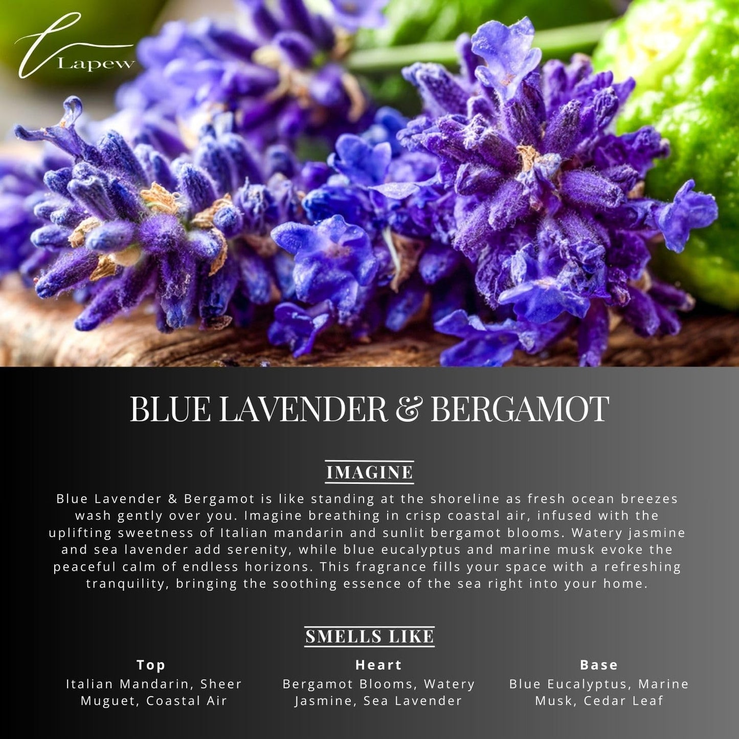 Blue Lavender & Bergamot Carpet Freshener Powder: Powerful Odor Eliminator for Home, Upholstery
