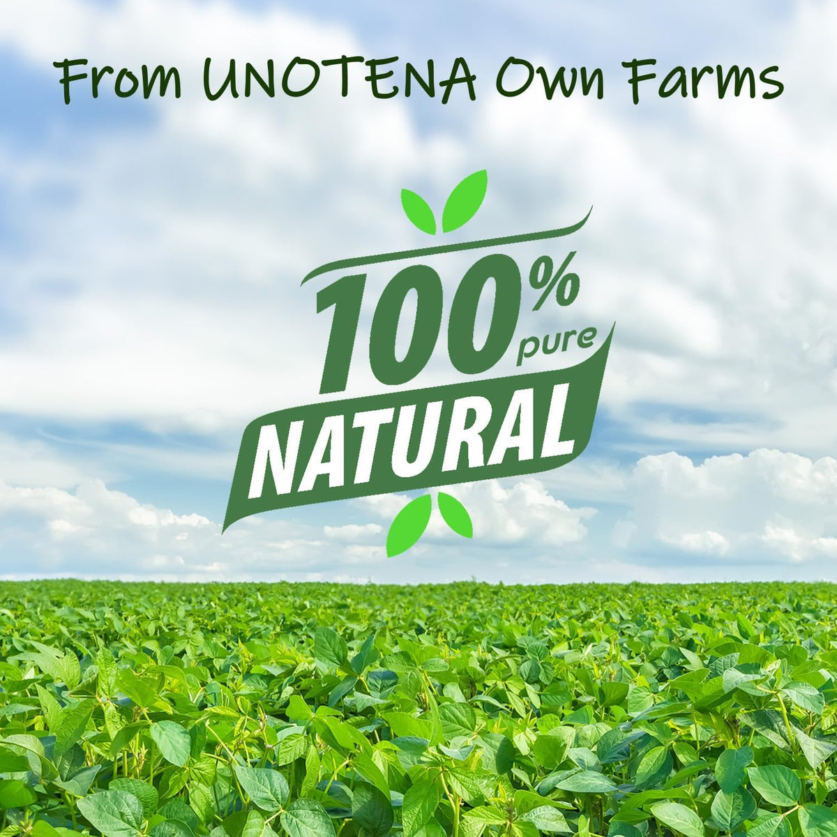 UNOTENA Soy Wax Flakes for Candle Making, Natural Candle Wax, Farm-Sourced, No Additives, Safe and