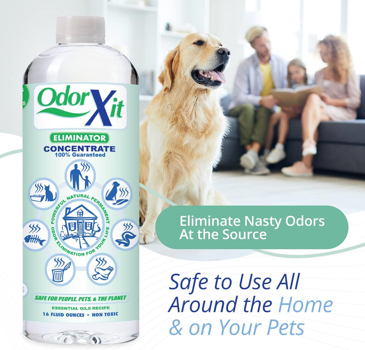 Concentrated Pet Urine Odor Eliminator, Ideal for Cat, Dog Poo and Urine Smell, Versatile & Natural