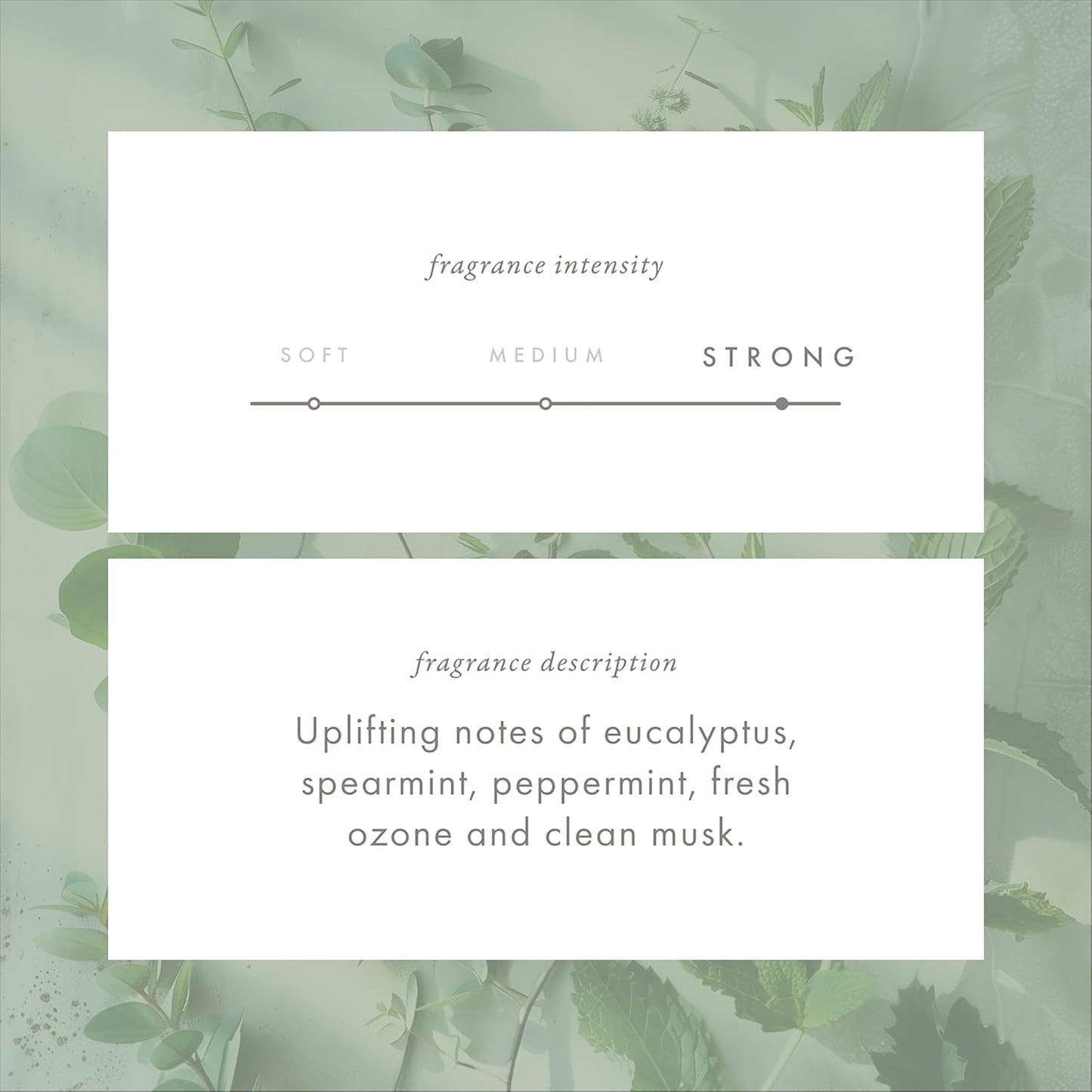 ScentAir Whisper Home Monthly Plug-in Refill, Fragrance Cartridge for Home and Office, Eucalyptus