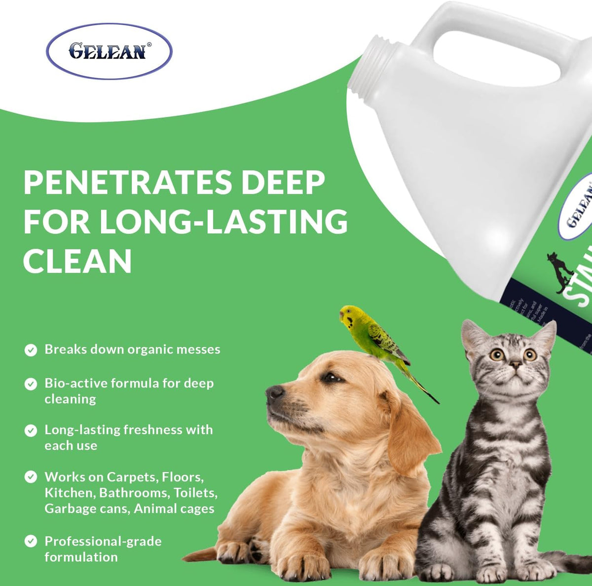 Strong Stain & Odor Eliminator - Cats & Dog Enzymatic Urine Destroyer -MADE IN USA- Fresh Scent