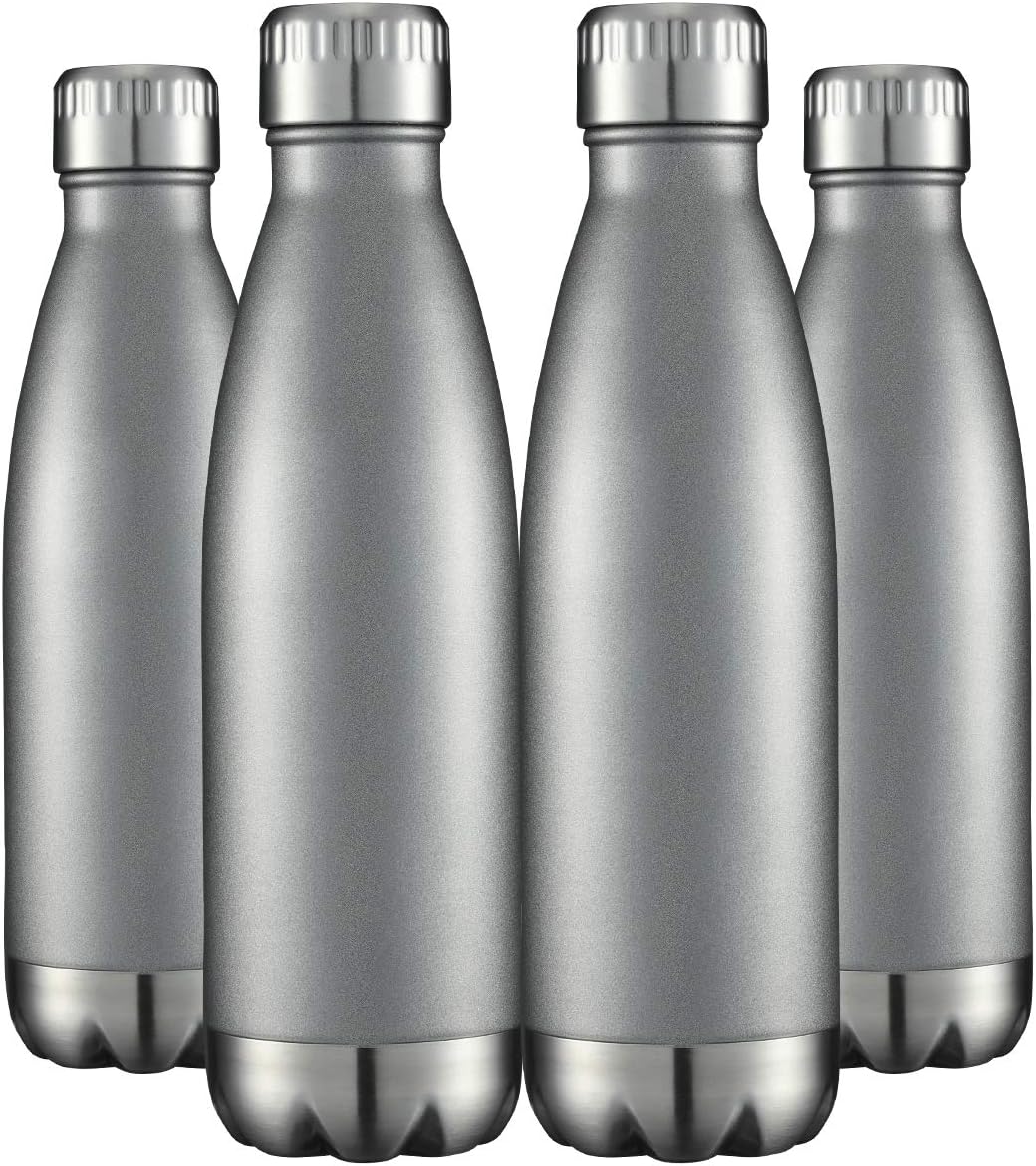 HASLE OUTFITTERS 17oz Stainless Steel Water Bottles Bulk, Vacuum Insulated Water Bottles Double