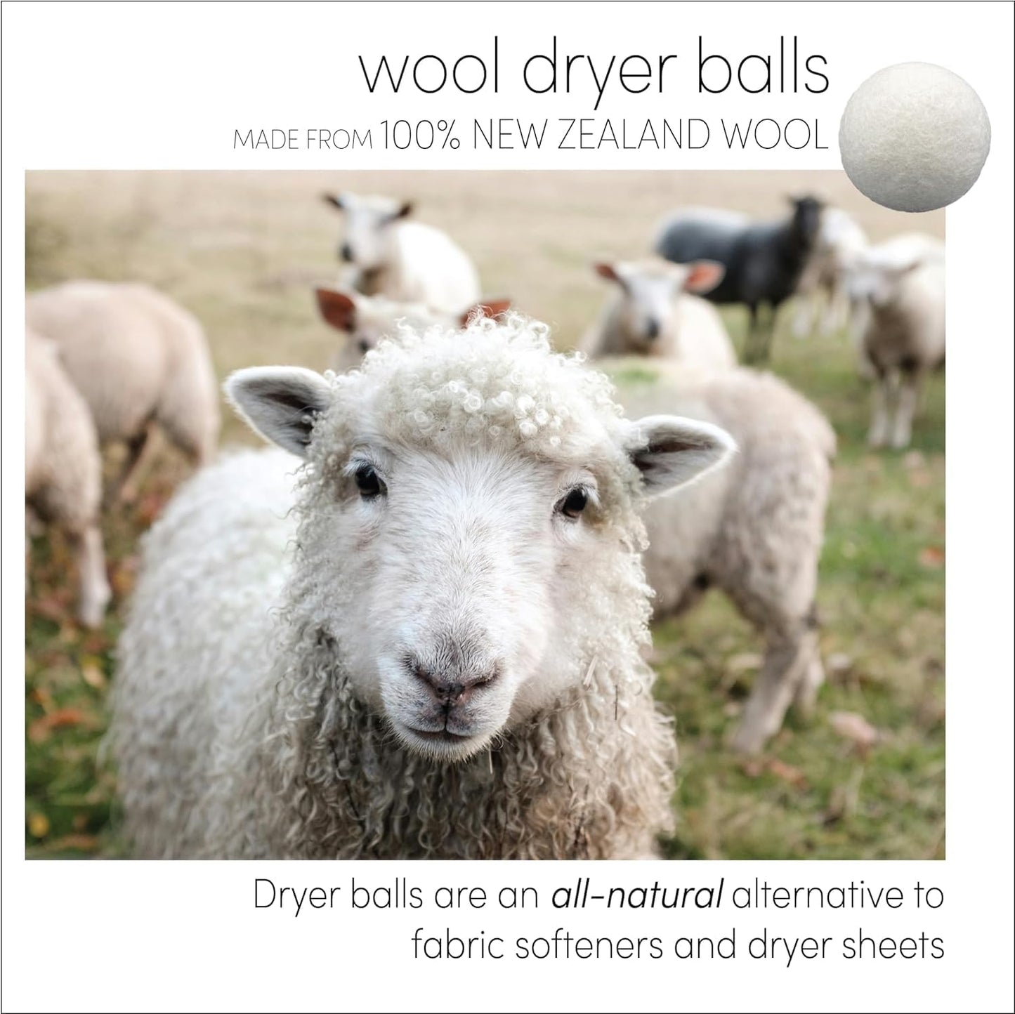 Three by Three Seattle Felt·Like·it!™ Wool Dryer Balls + Storage Bin: Reduce Drying Time, Static