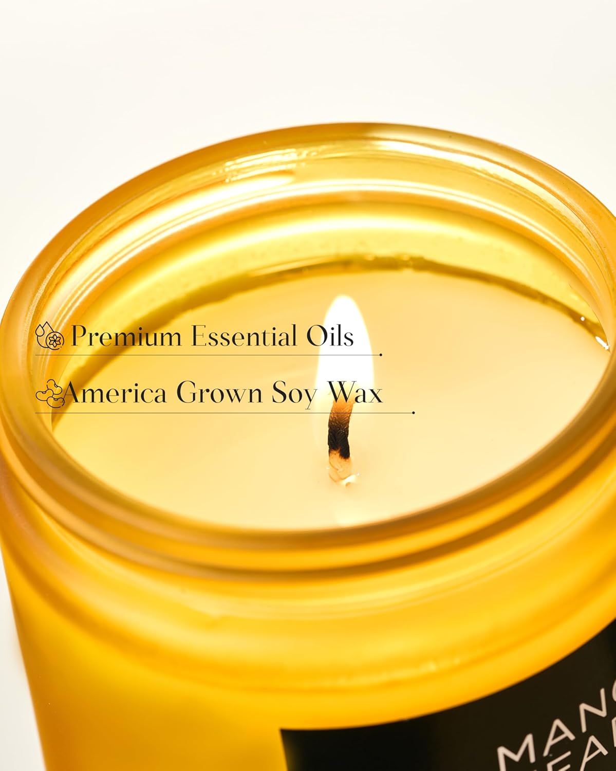M&SENSE Mango Pineapple Tropical Scented Candle, 7.05oz Non Toxic Natural Soy Wax 50 Hours Long