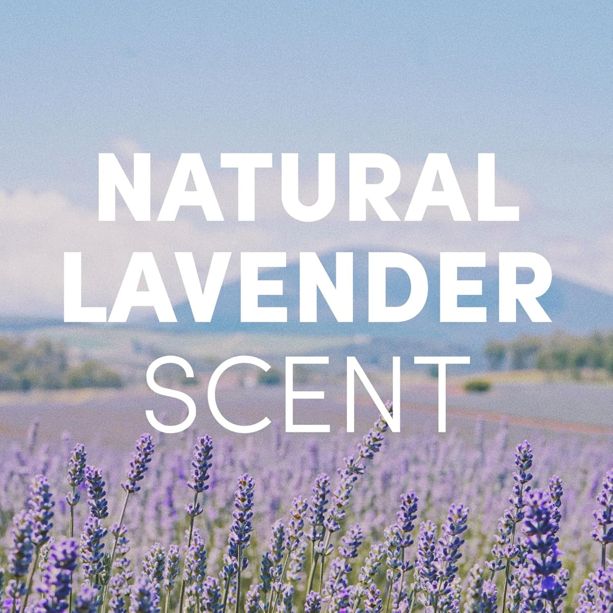 Clean Revolution Foaming Hand Soap Refill Supply Container, Ready to Use Formula, Natural Lavender