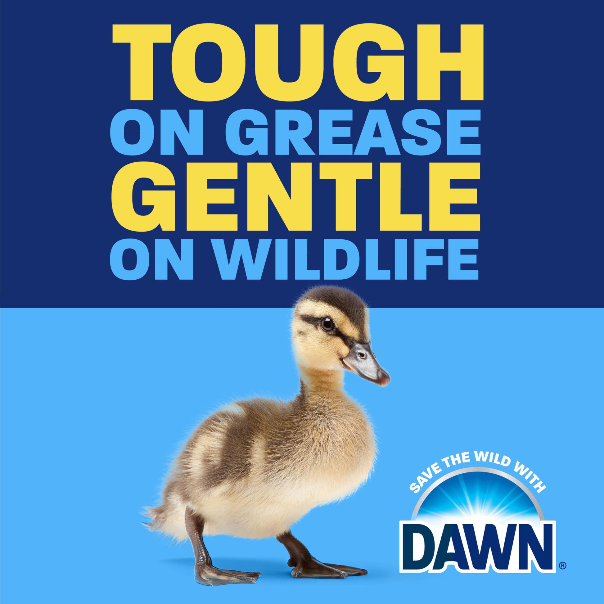Dawn Ultra EZ-Squeeze Dish Soap Liquid, Dishwashing Liquid, Grease Removal, Upside Down Bottle