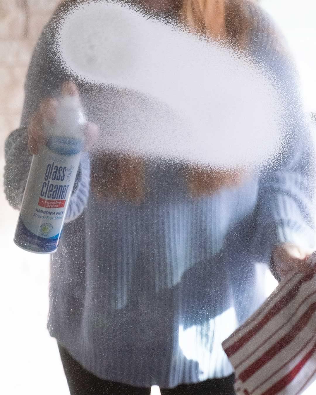 Sprayway Glass Cleaner with Foaming Spray for a Streak-Free Shine for Home and Automotive Use, 19