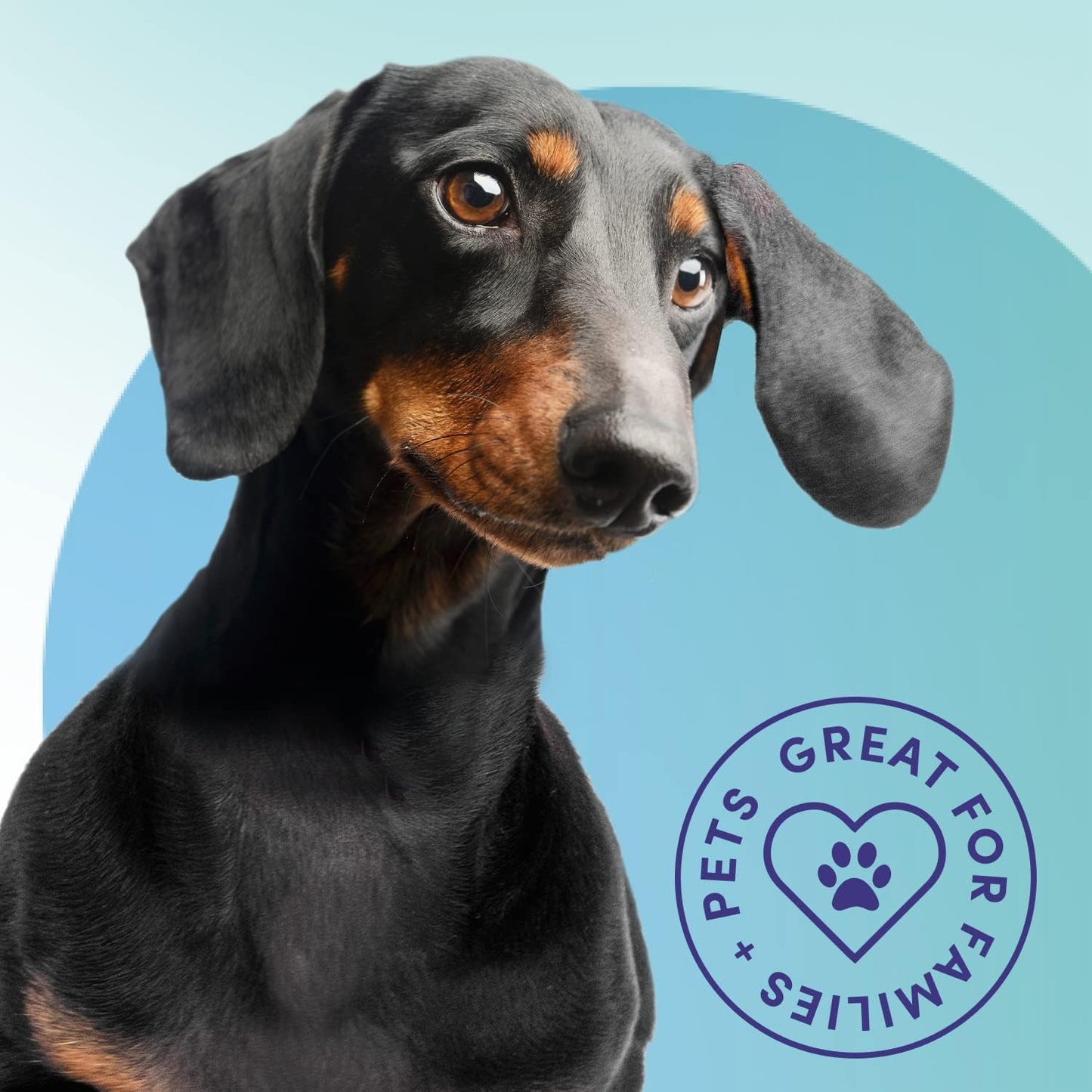 Bioesque Advanced Stain + Odor Remover, Pet-Friendly Natural Enzymatic & Bacterial Formula