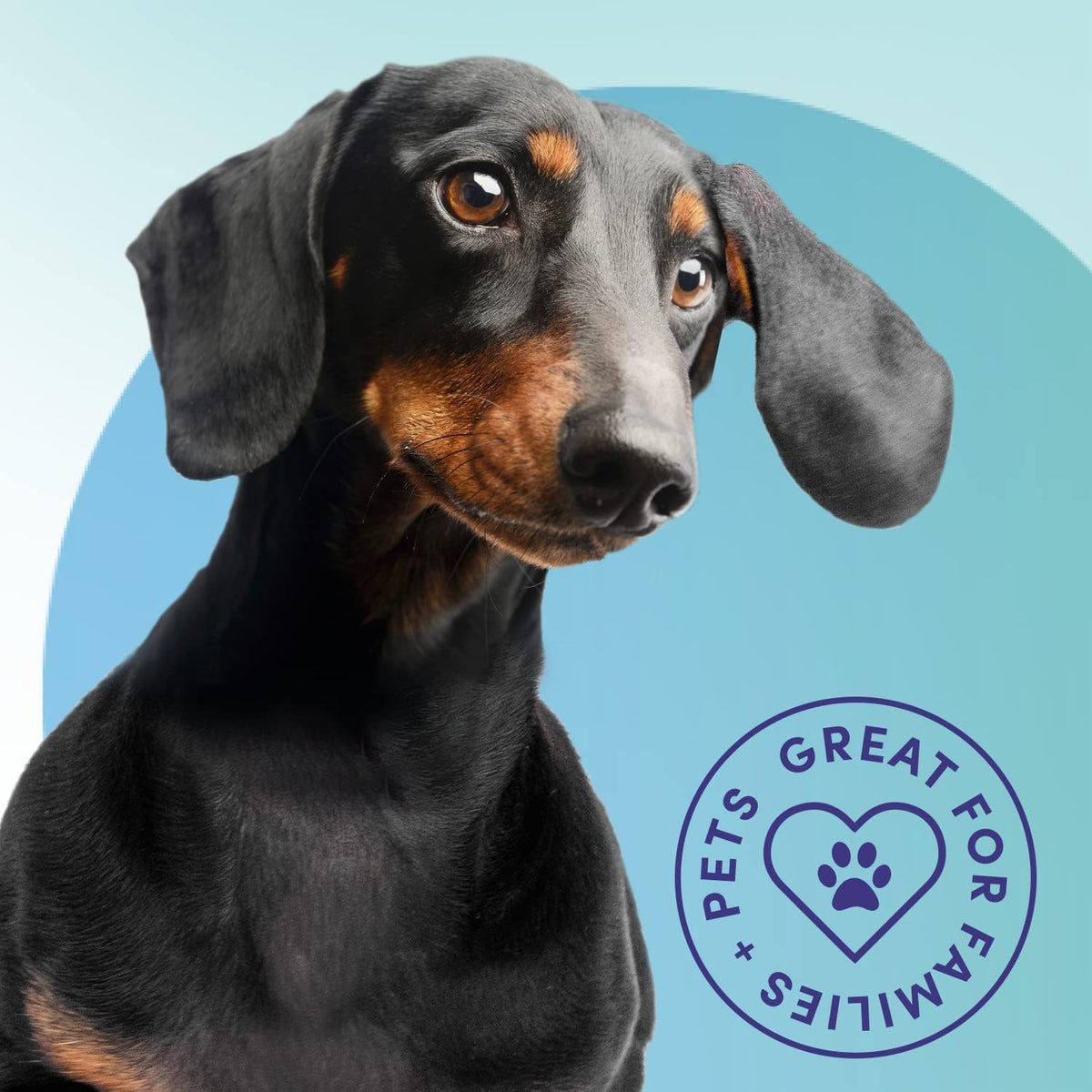 Bioesque Advanced Stain + Odor Remover, Pet-Friendly Natural Enzymatic & Bacterial Formula