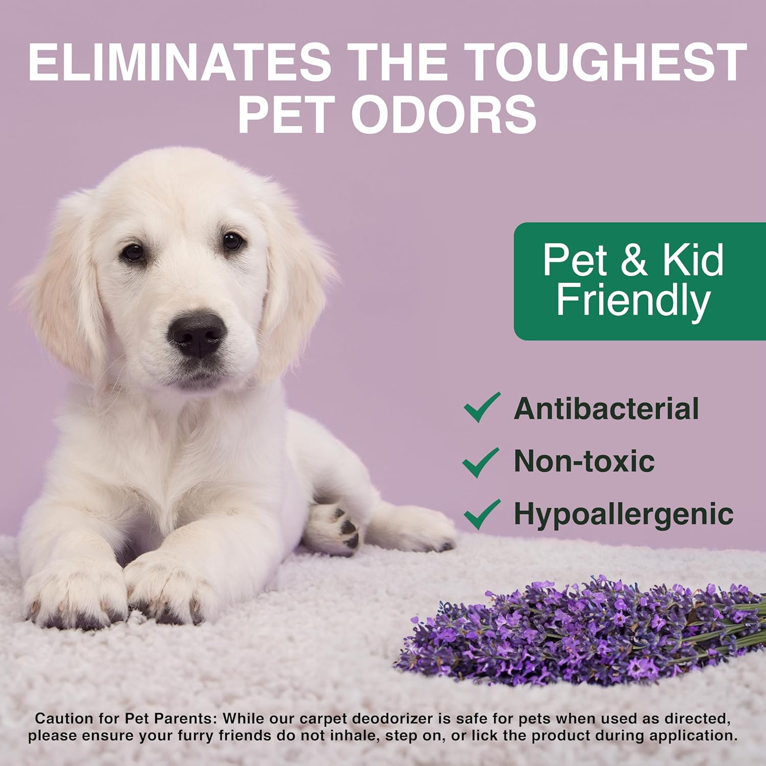 Good Natured Brand | Carpet Deodorizer & Freshener Powder | 31 oz Pet Odor Eliminator for Strong