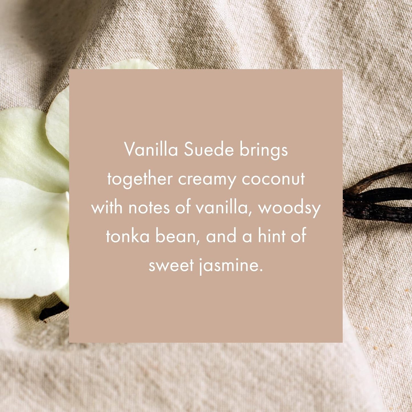 ScentAir Whisper Home Monthly Plug-in Refill, Fragrance Cartridge for Home and Office, Dark Vanilla
