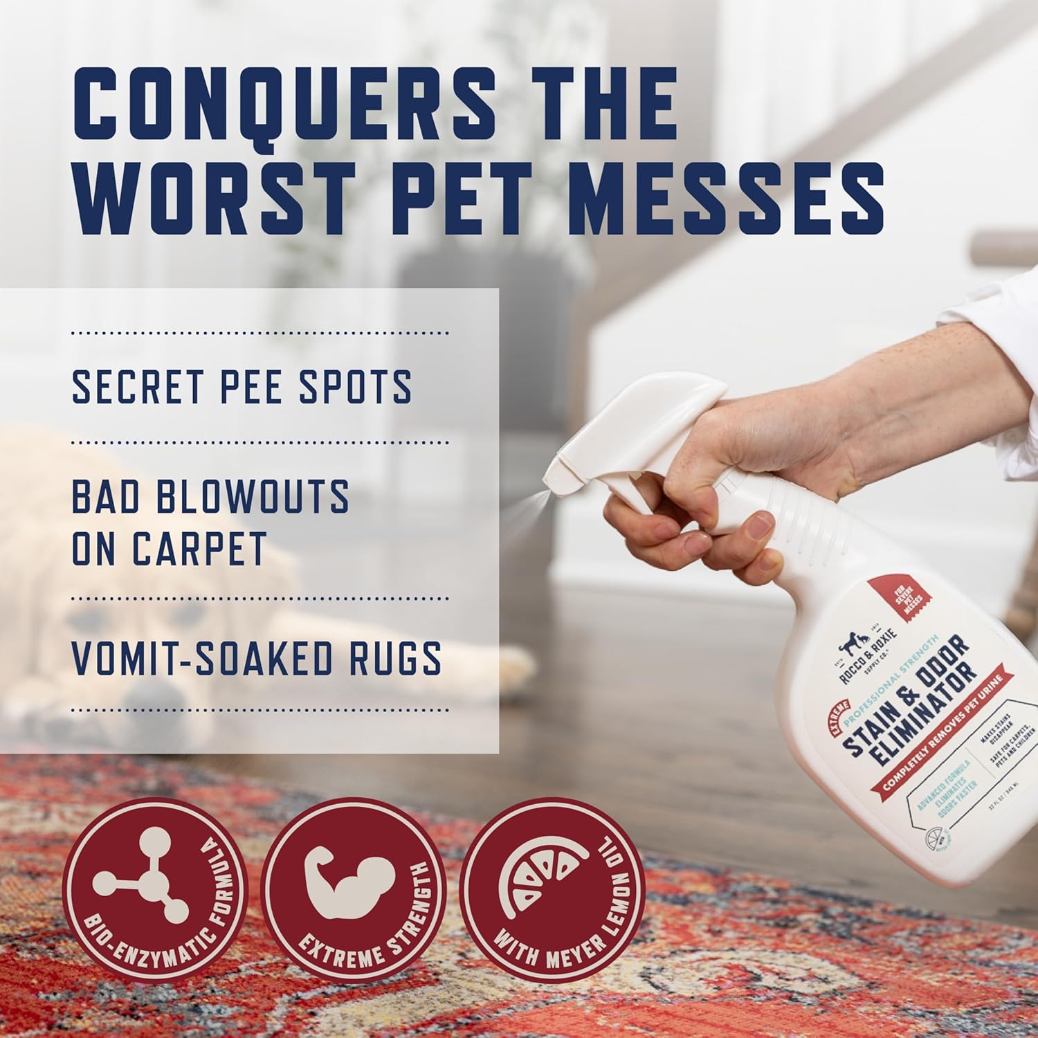Rocco & Roxie Extreme Stain & Odor Eliminator for Strong Odor, Pet Urine Enzyme Cleaner Destroyer