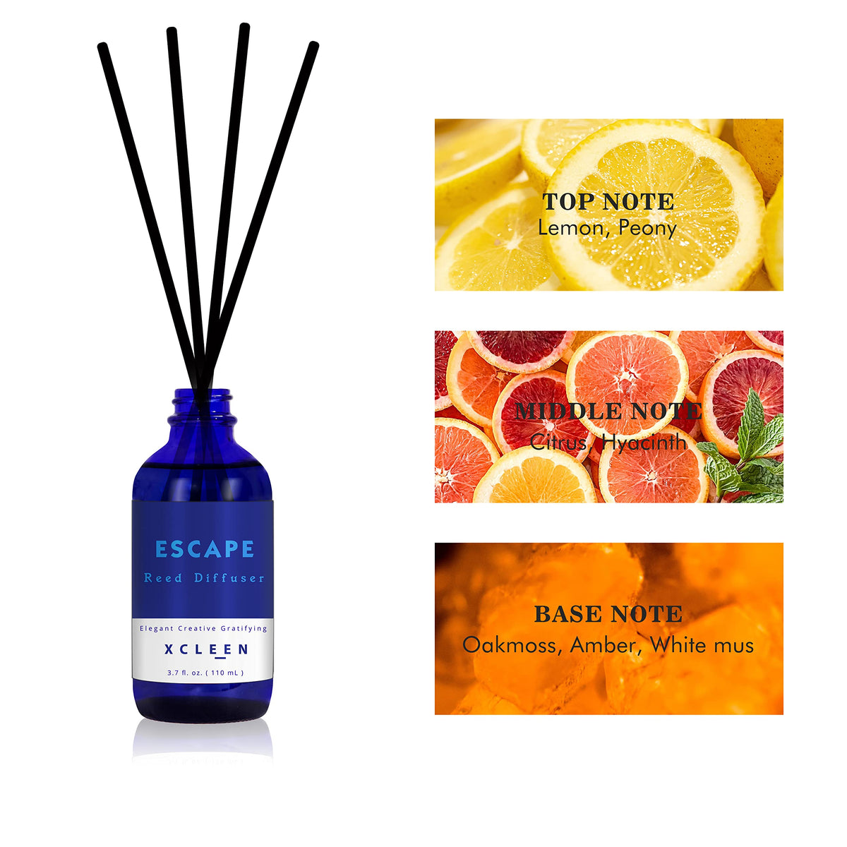 Xcleen Reed Diffusers Set, 3.7 Oz Scent Diffuser, 6 Reed Diffuser Sticks, 110ml – view 4