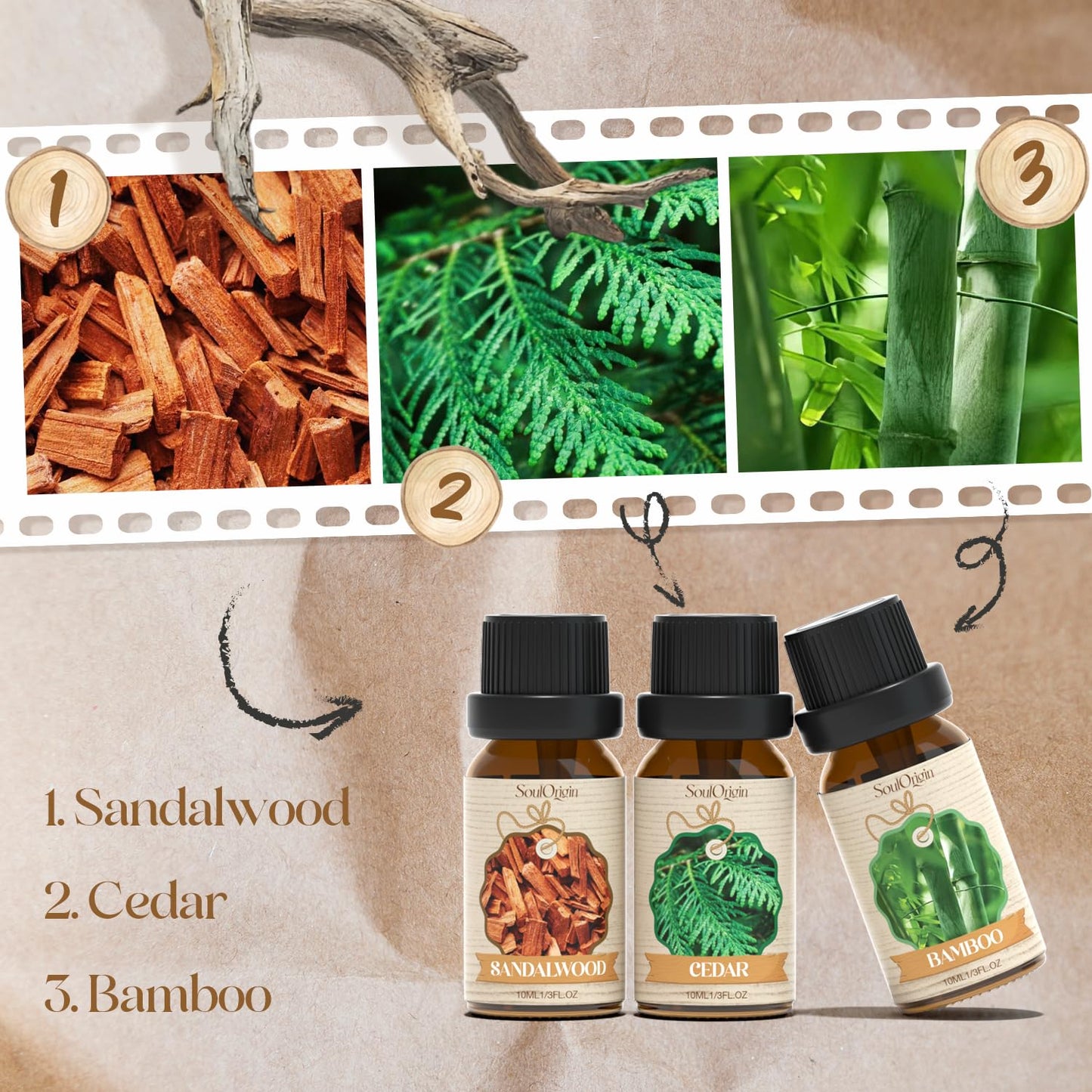 Woody Essential Oils Set, Fragrance Oil Set for Diffuser, Scent Diffuser Oil for Candle Making