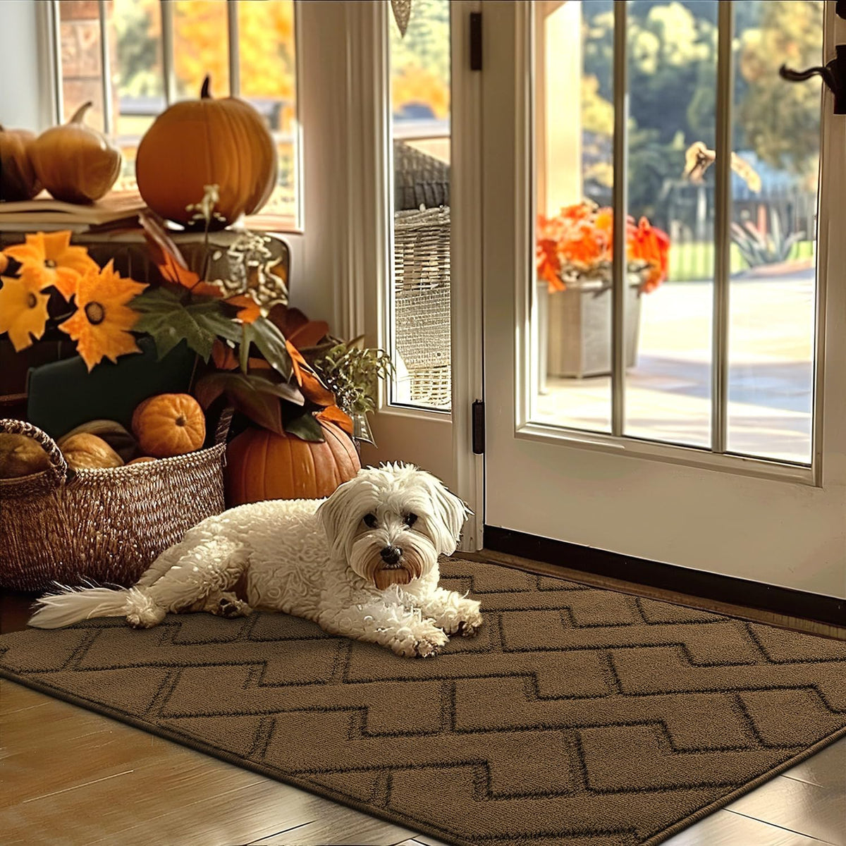 hicorfe Indoor Door Mat,Non Slip Door Mats,32"x48" Front Back Door Mat Rubber Backing,Absorbent