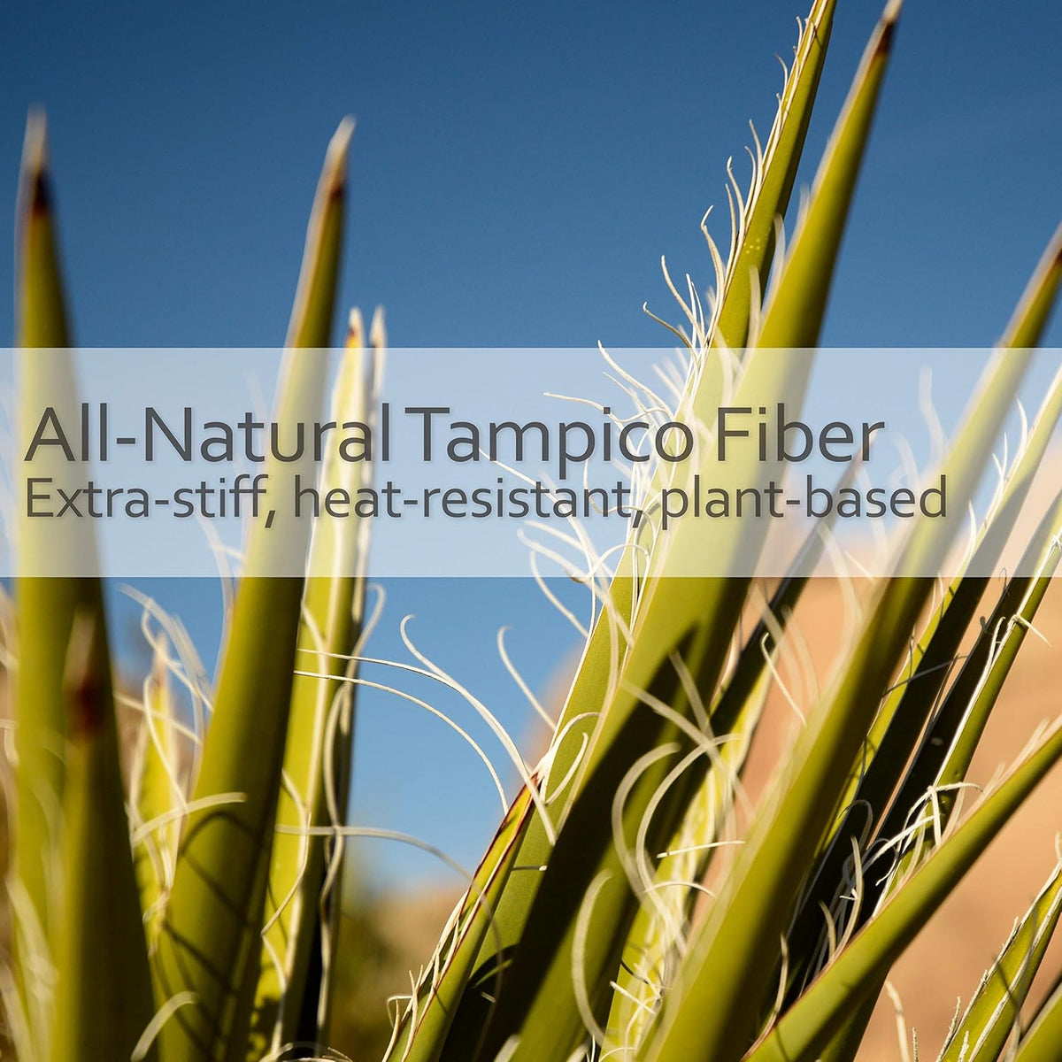REDECKER Curved Dish Brush - Natural Tampico Fiber Bristles, Ergonomic Design with Oiled Beechwood