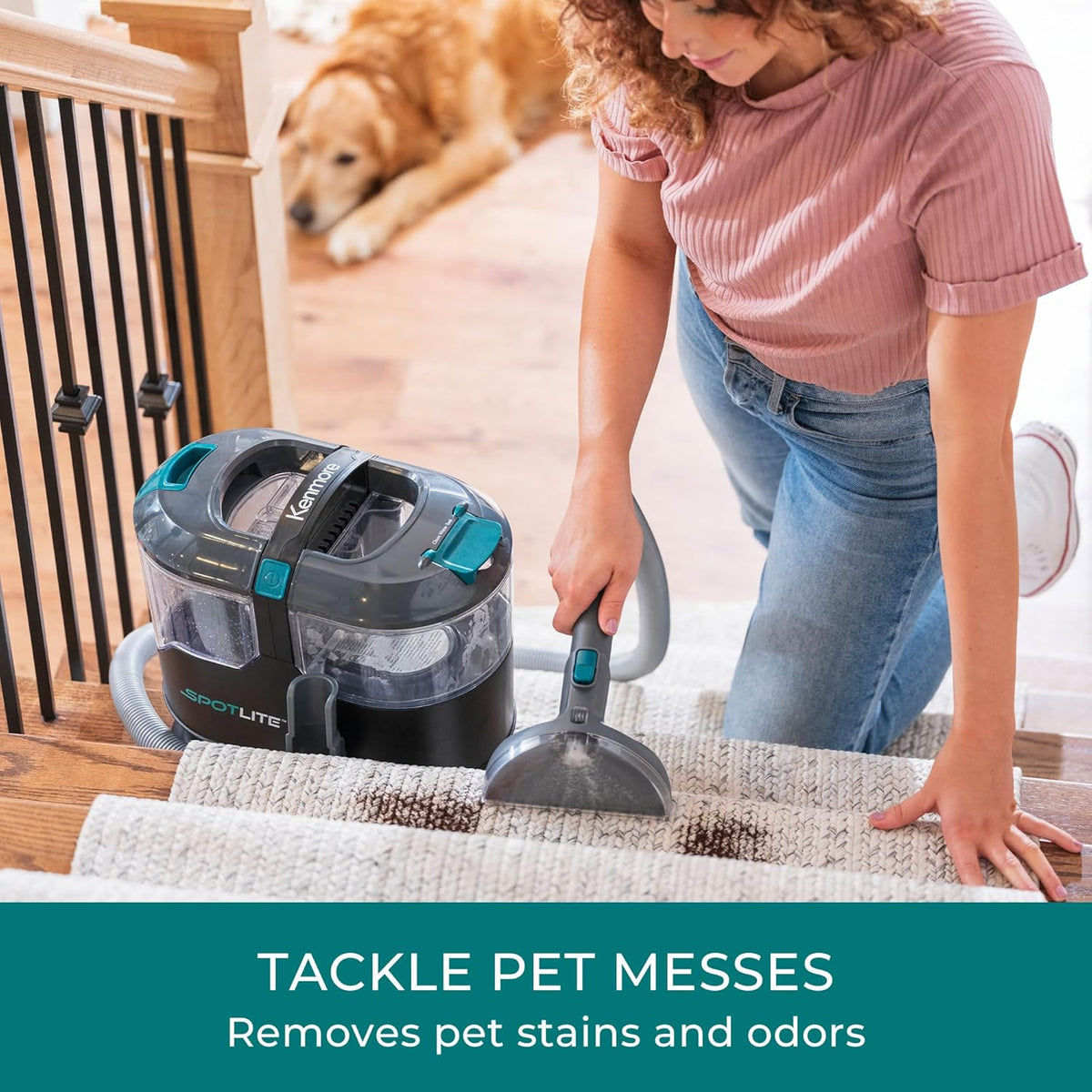 Kenmore KS1010 Deep Clean & Revitalize Pet Carpet Spot Cleaner Formula, 64 Oz for Carpet, Rugs, and