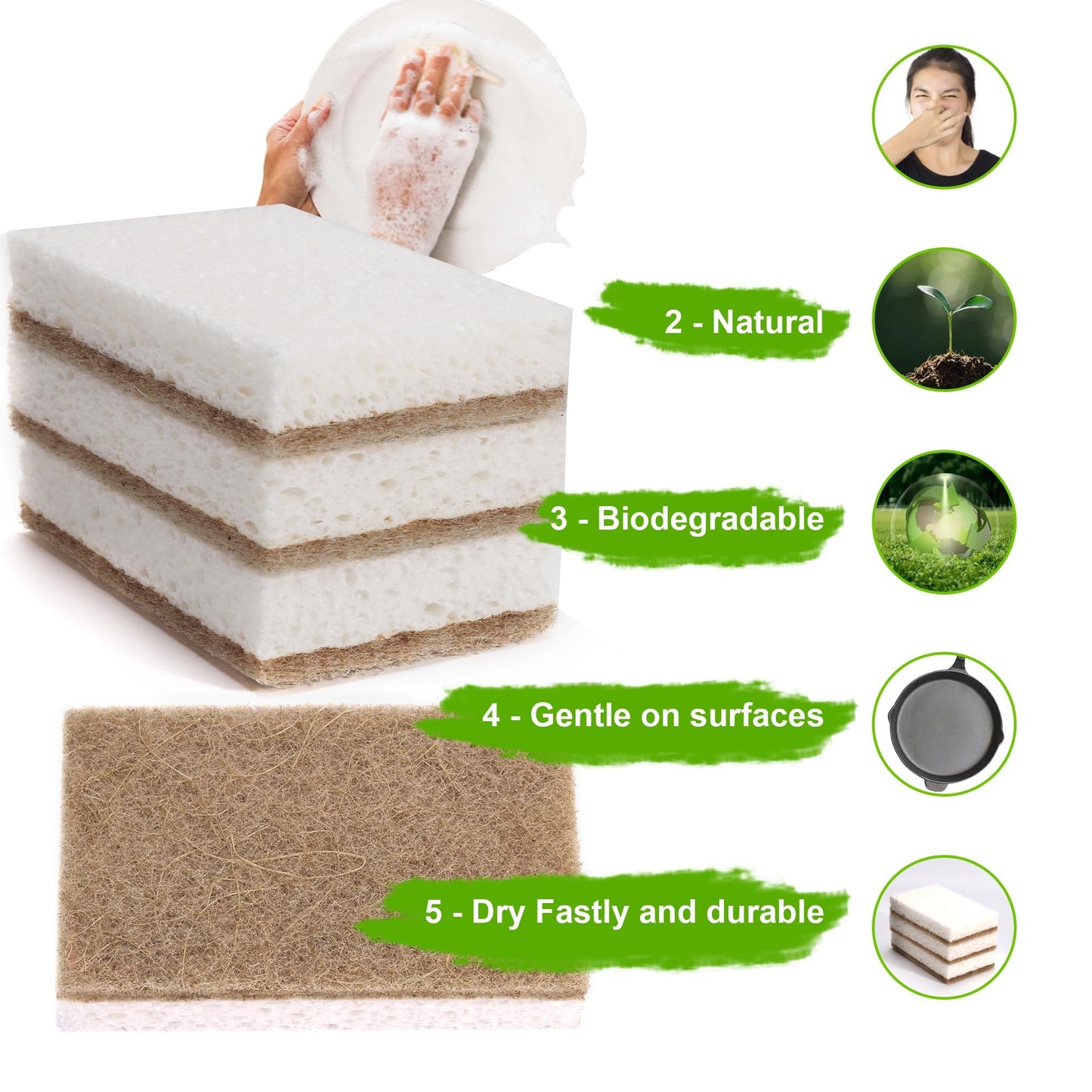 Natural Sponges for Dishes 12 Pack - Keep Soap Biodegradable Kitchen Sponge Compostable Coconut