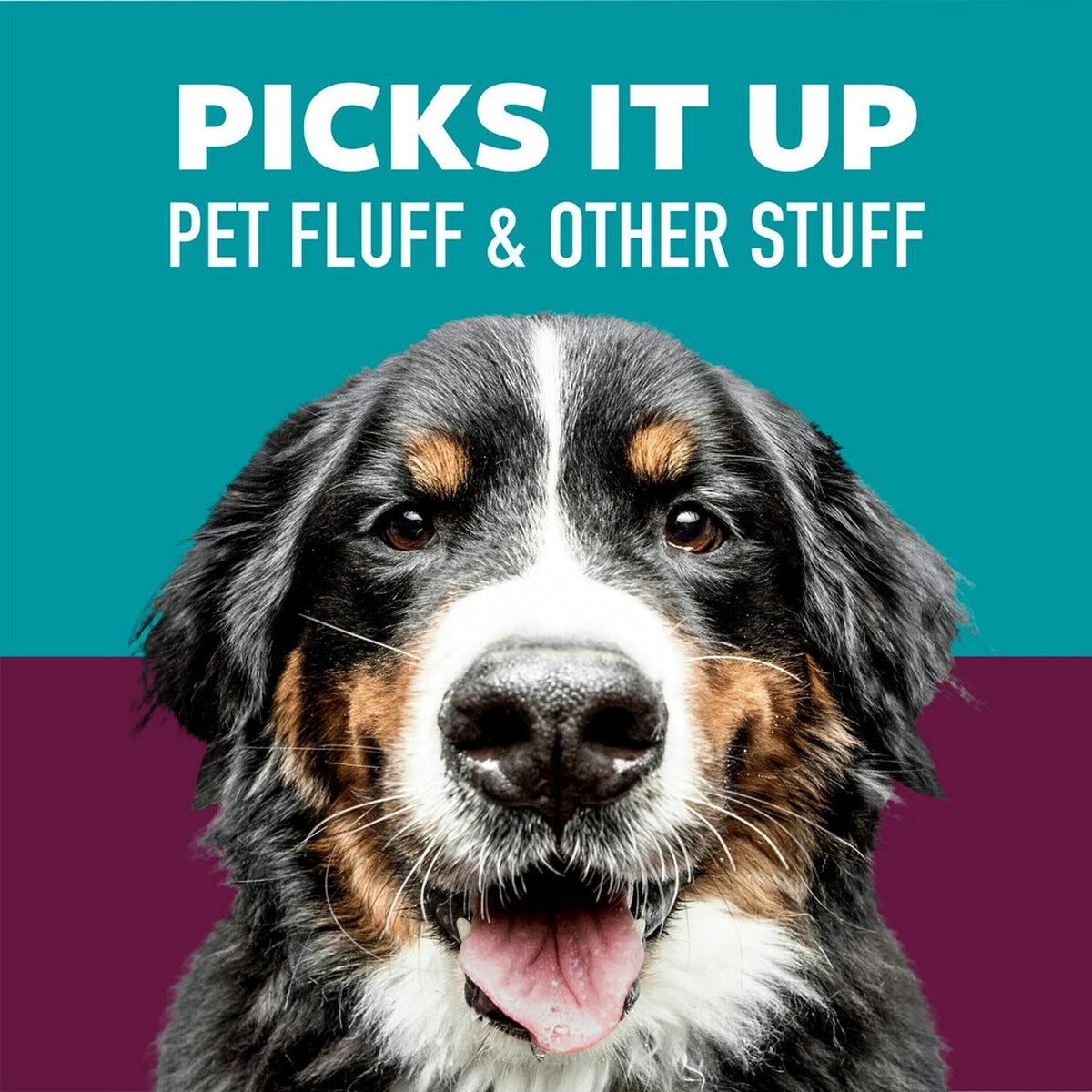 Scotch-Brite Pet Hair Pickup Extra Sticky Lint Roller Refills, Refills Only, 50% Stickier, 4 in x