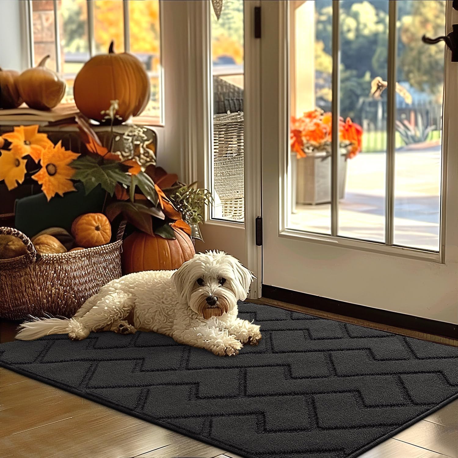hicorfe Indoor Door Mat,Non Slip Door Mats,32"x48" Front Back Door Mat Rubber Backing,Absorbent