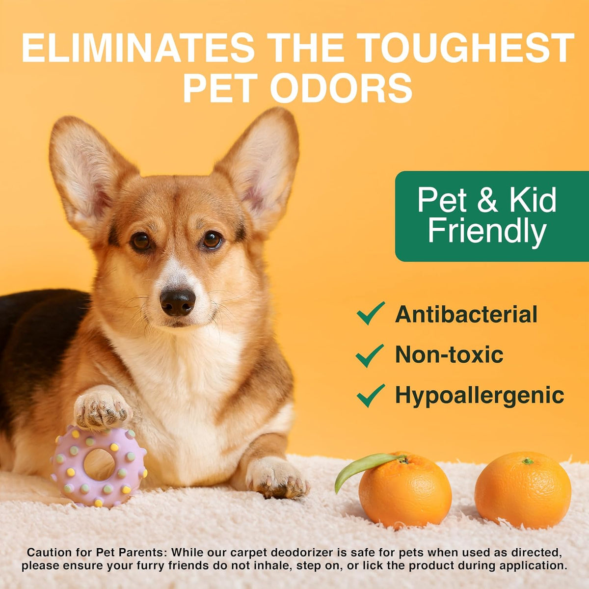 Good Natured Brand | Carpet Deodorizer & Freshener Powder | 31 oz Pet Odor Eliminator for Strong