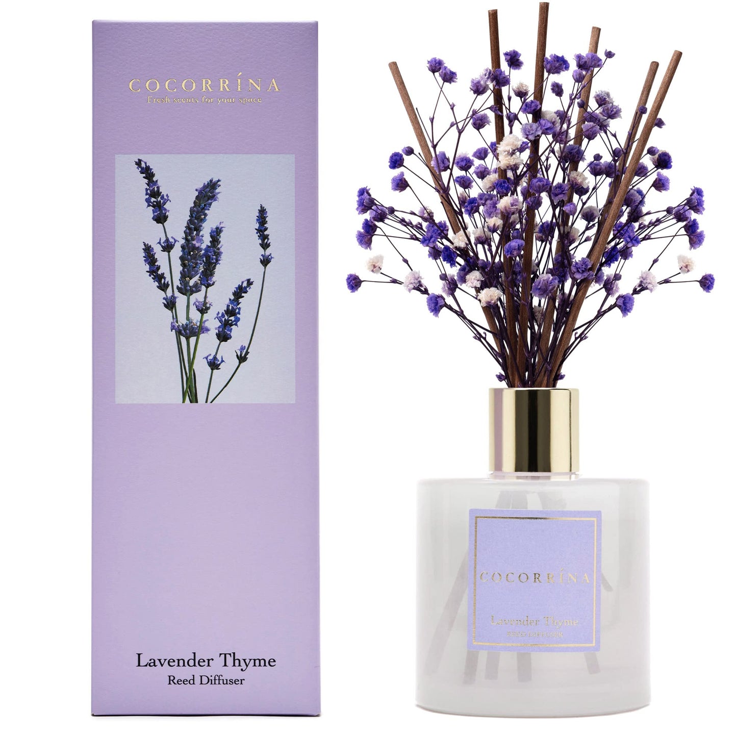 Cocorrína Premium Reed Diffuser Set with Preserved Baby's Breath & Cotton Stick Lavender Thyme |