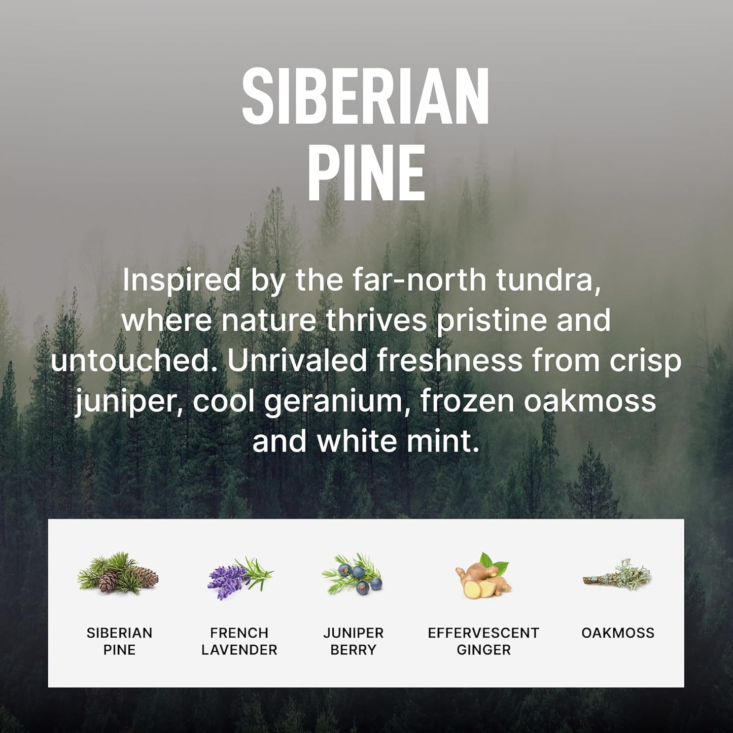 Laundry Sauce - Signature Bundle Siberain Pine, Scented Laundry Detergent Pods & Scent Booster