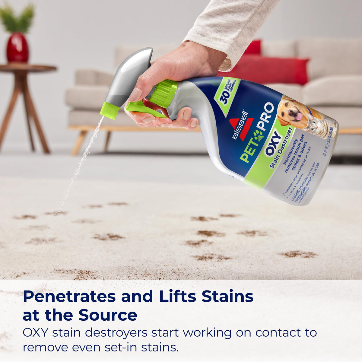 Bissell PET PRO OXY Stain Destroyer for Carpet and Upholstery, 22 oz, 2 pack, 17739