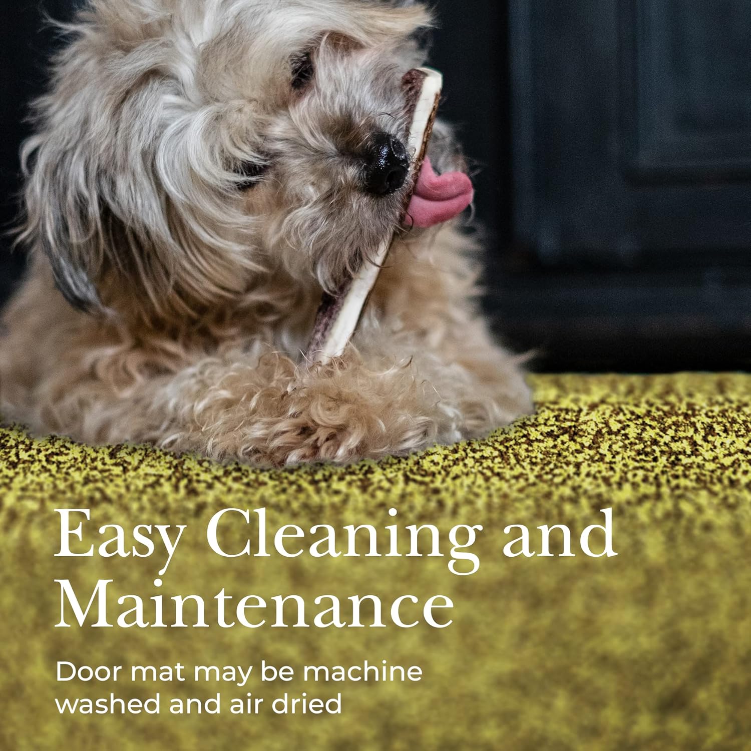 Premium Microfiber Indoor Door Mat – 24"x36" Washable Entry Mat, Non-Slip, Waterproof Backing