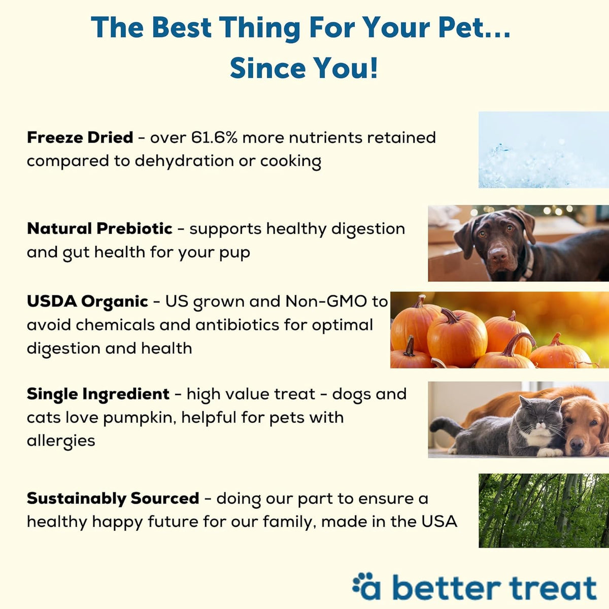 A Better Treat – Freeze Dried Organic Pumpkin Dog and Cat Treats, Organic, Single Ingredient |