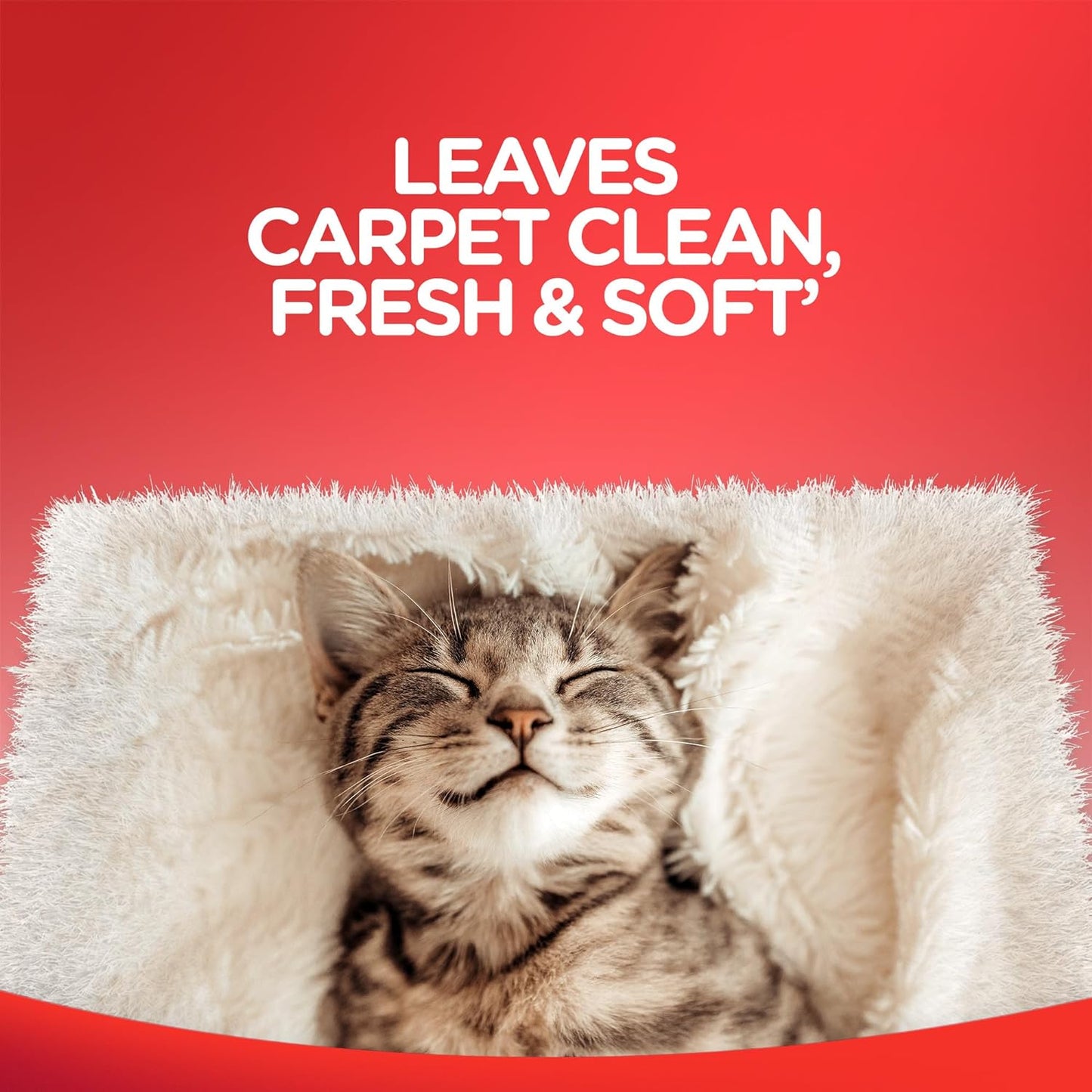 Resolve Steam Carpet Cleaner Solution Shampoo, 60 fl oz, 2X Concentrate, Safe for Bissell, Hoover &