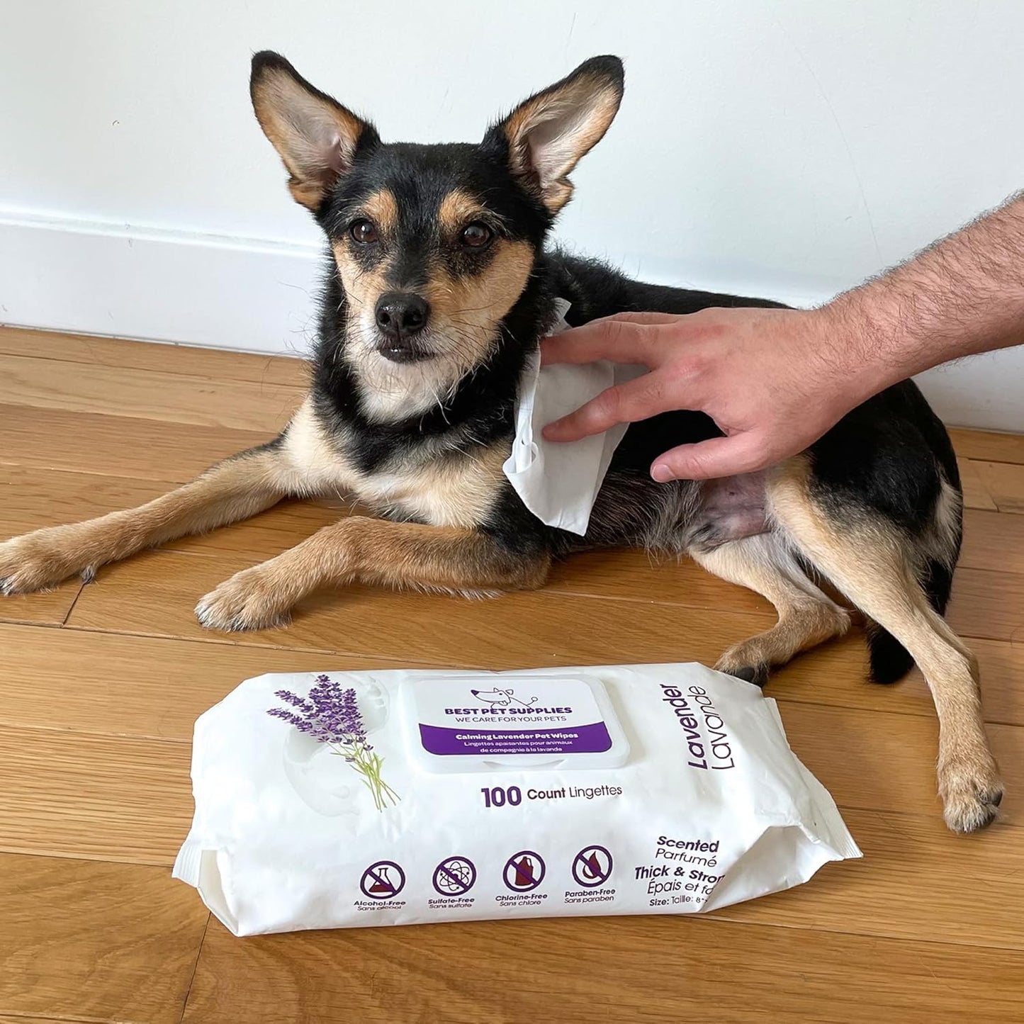 Best Pet Supplies Pet Grooming Wipes for Dogs & Cats,Deodorizer for Coats & Dry, Itchy, or