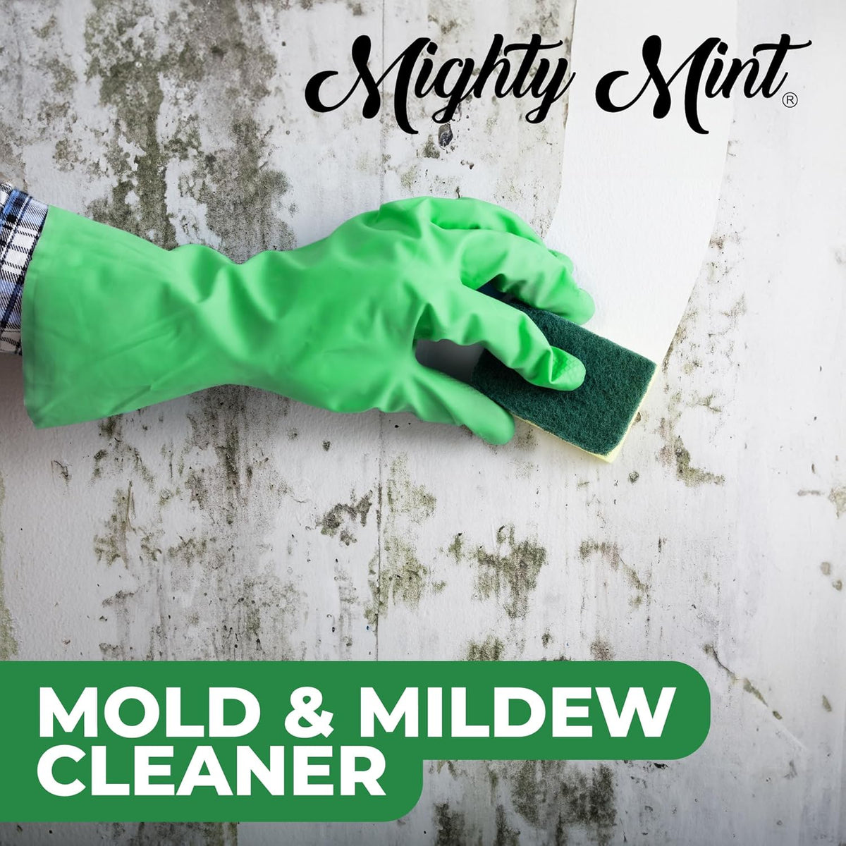 Mighty Mint Mold & Mildew Stain Remover Spray, Rapid Clean for Bathroom, Kitchen, Hard Water