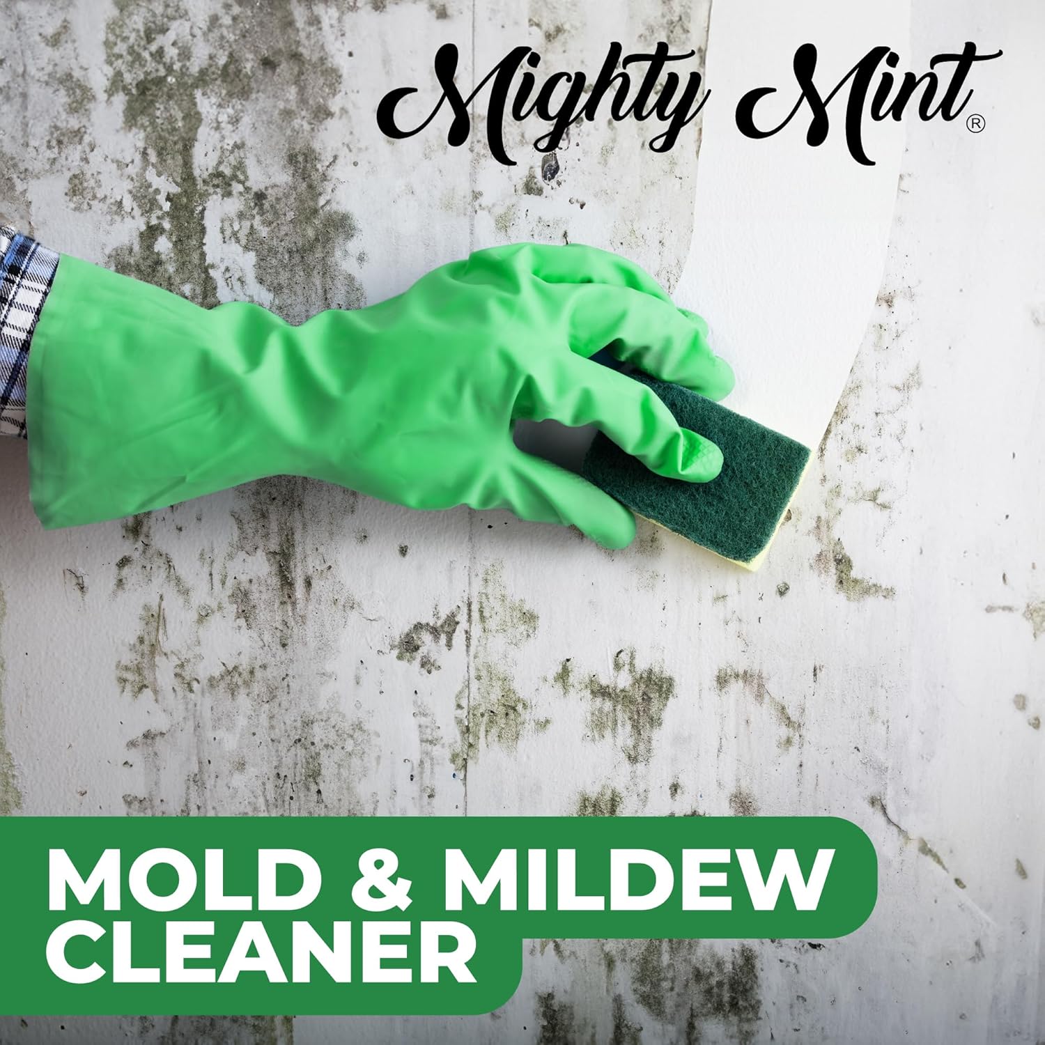 Mighty Mint Mold & Mildew Stain Remover Spray, Rapid Clean for Bathroom, Kitchen, Hard Water