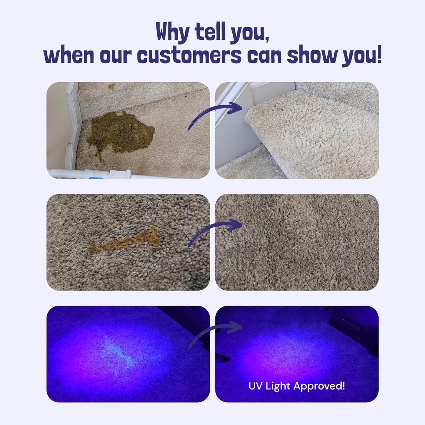 Sunny & Honey Pet Stain & Odor Miracle - 1 Gallon (128 Fl Oz), Light Lavender Scent - Carpet