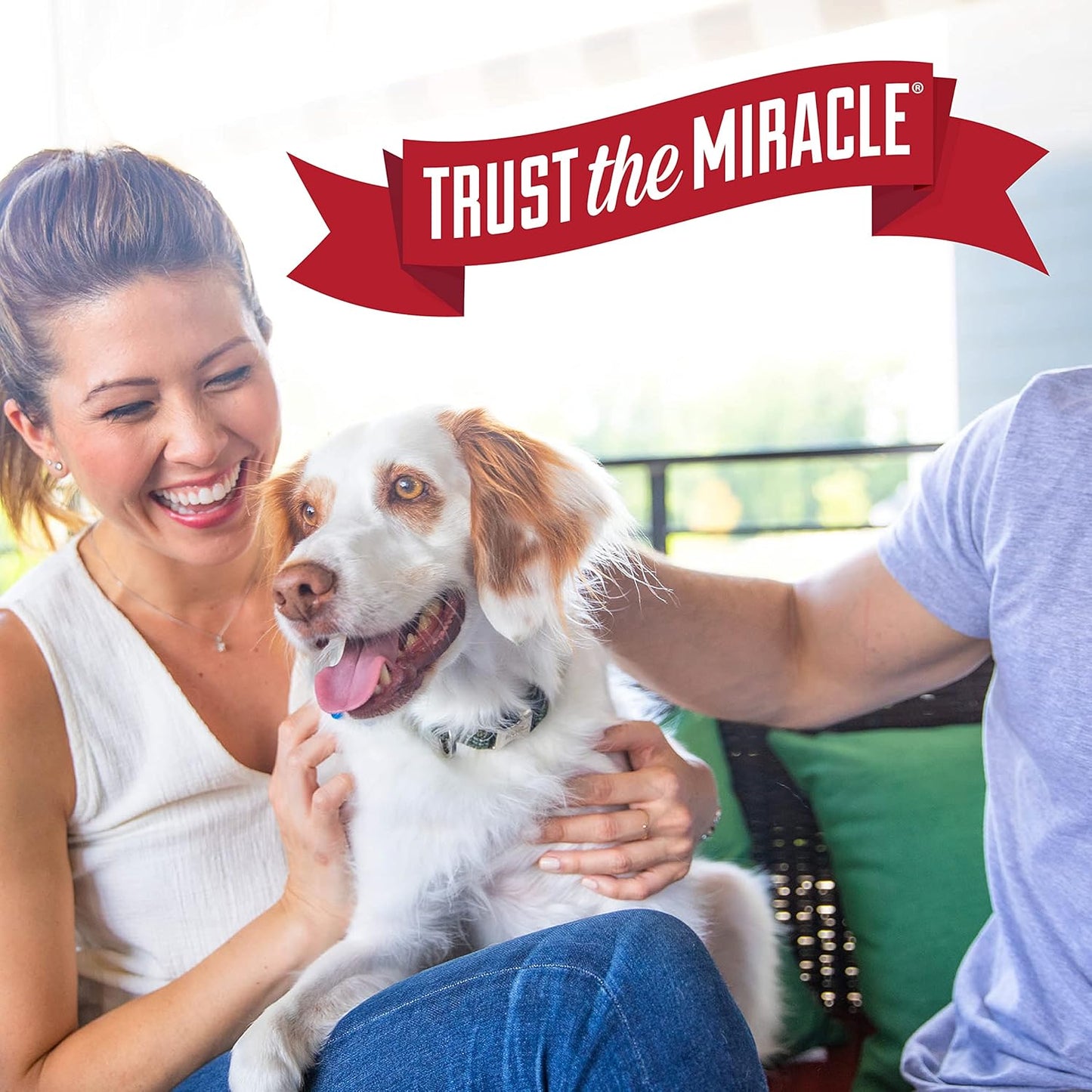 Nature's Miracle Stain and Odor Remover for Dogs, Odor Control Formula, Refill, 1.33 Gal