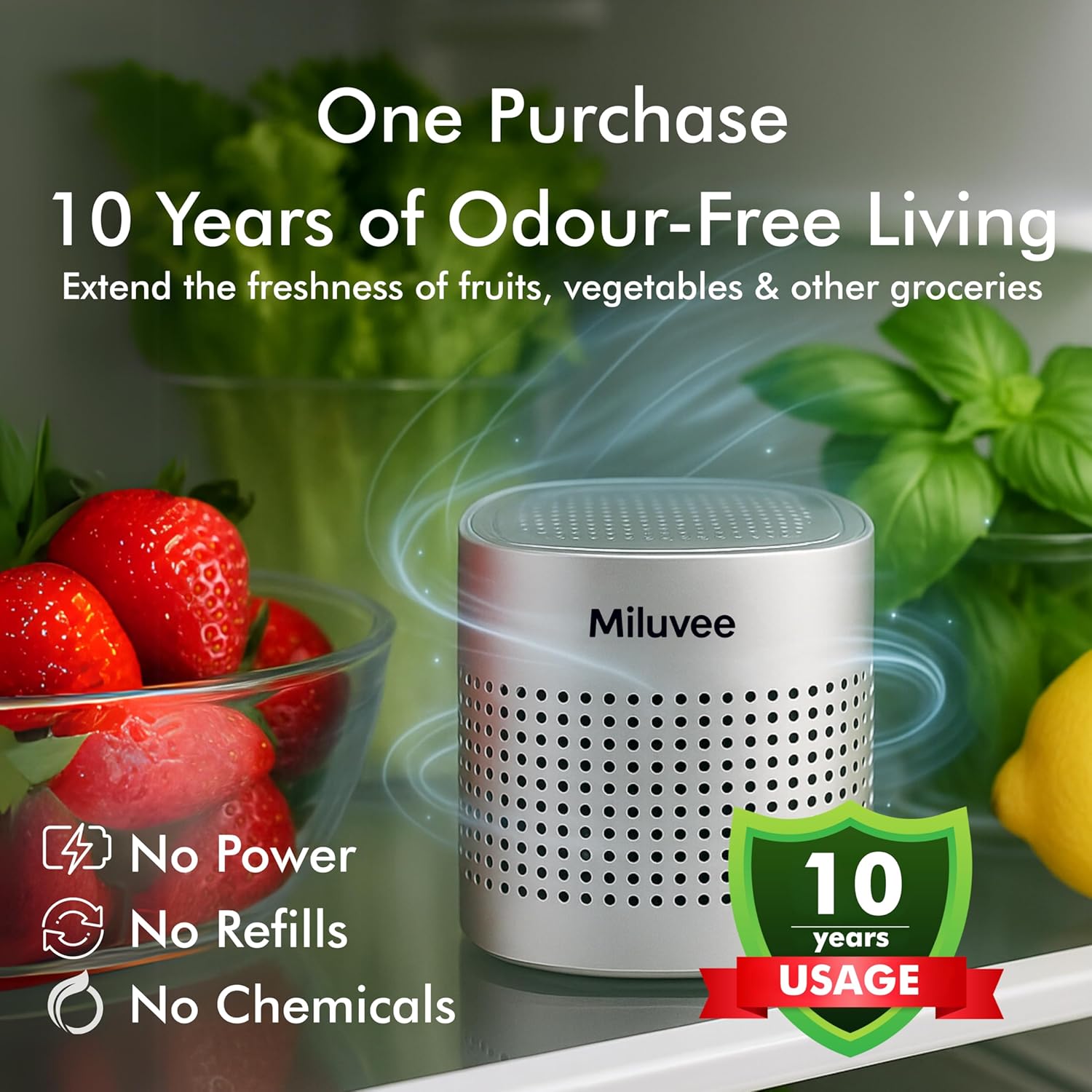 Premium Refrigerator Deodorizer, 10-Year Reusable Odor Eliminator for Car, Closet, Fridge, Shoe