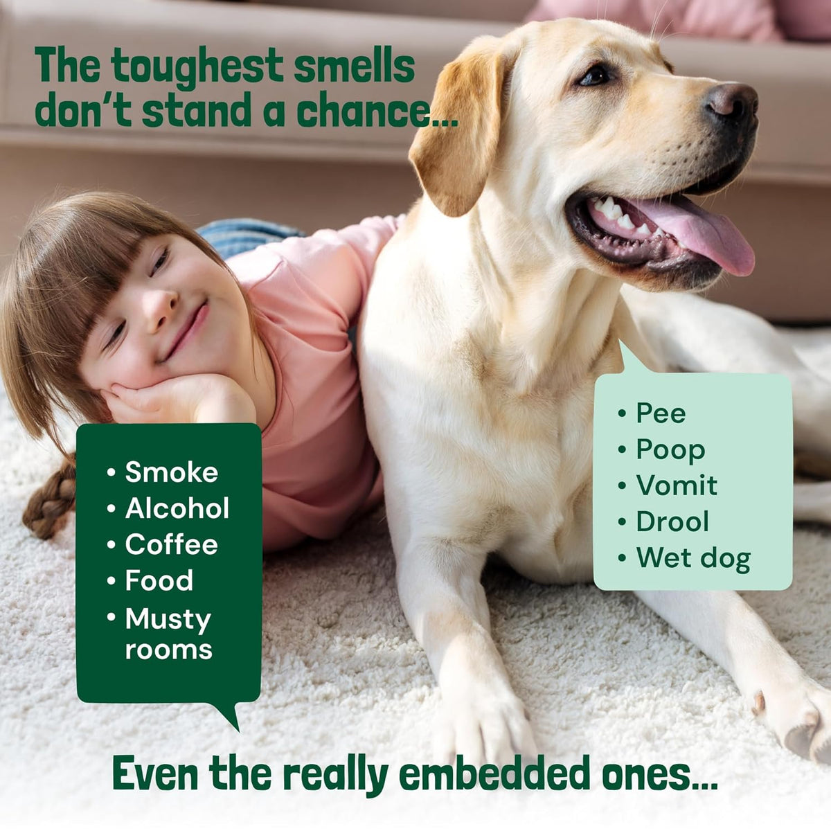 Sunny & Honey Carpet Deodorizer Powder - 20 Oz, Spring Mint - Odor Eliminator & Rug Freshener