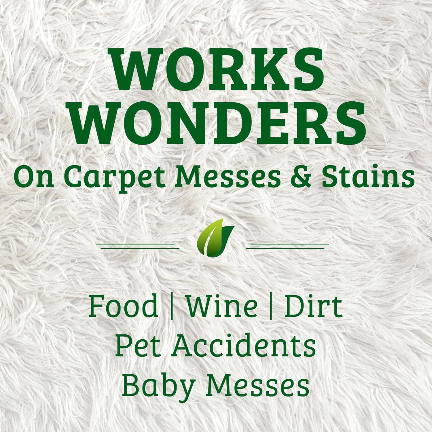Biokleen Bac-Out Carpet Stain Remover Enzymatic, Destroys Stains & Odors Safely, for Pet Urine